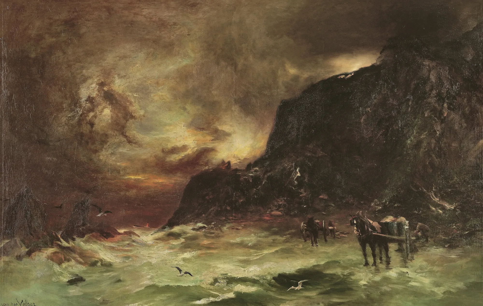Storm at Wellington Heads