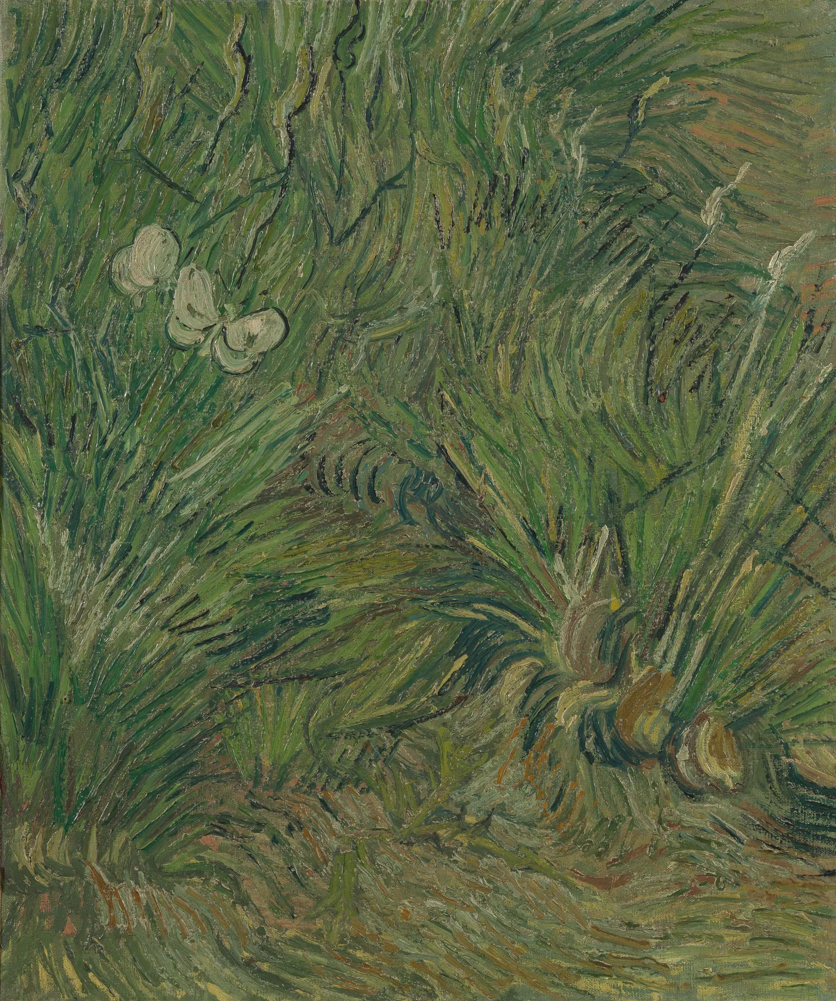 Garden with Butterflies