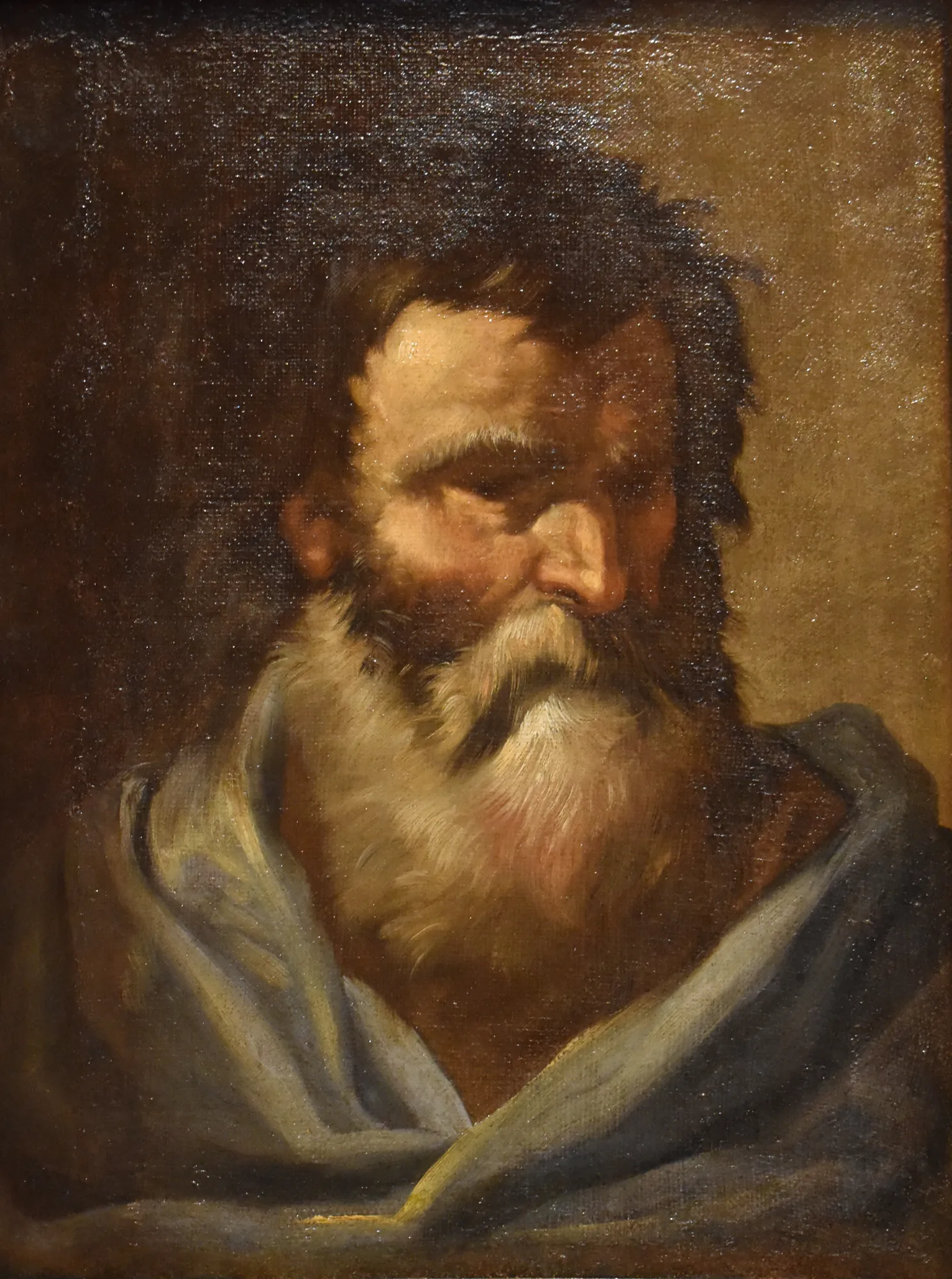 Head of a Bearded Old Man