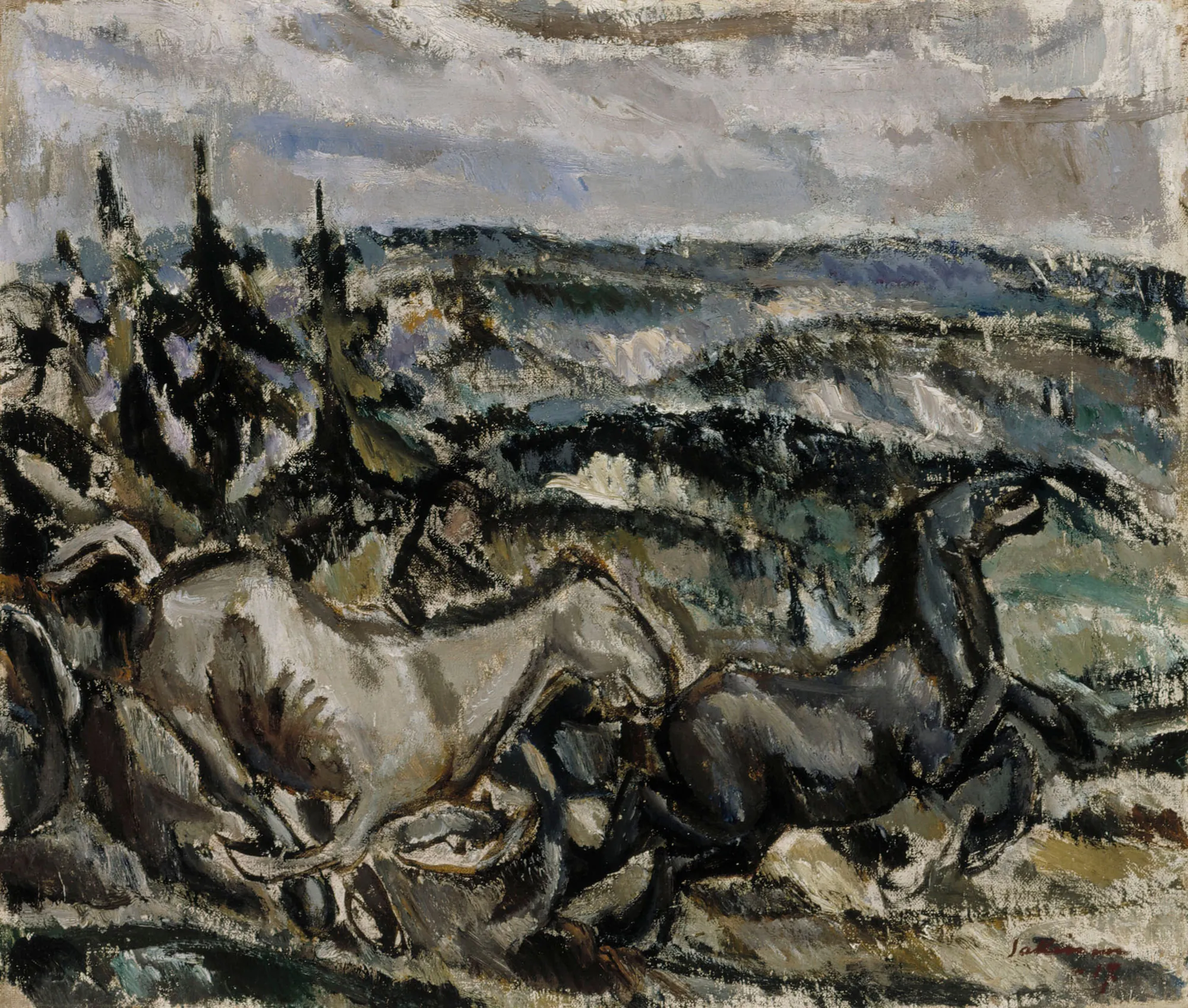 The Race