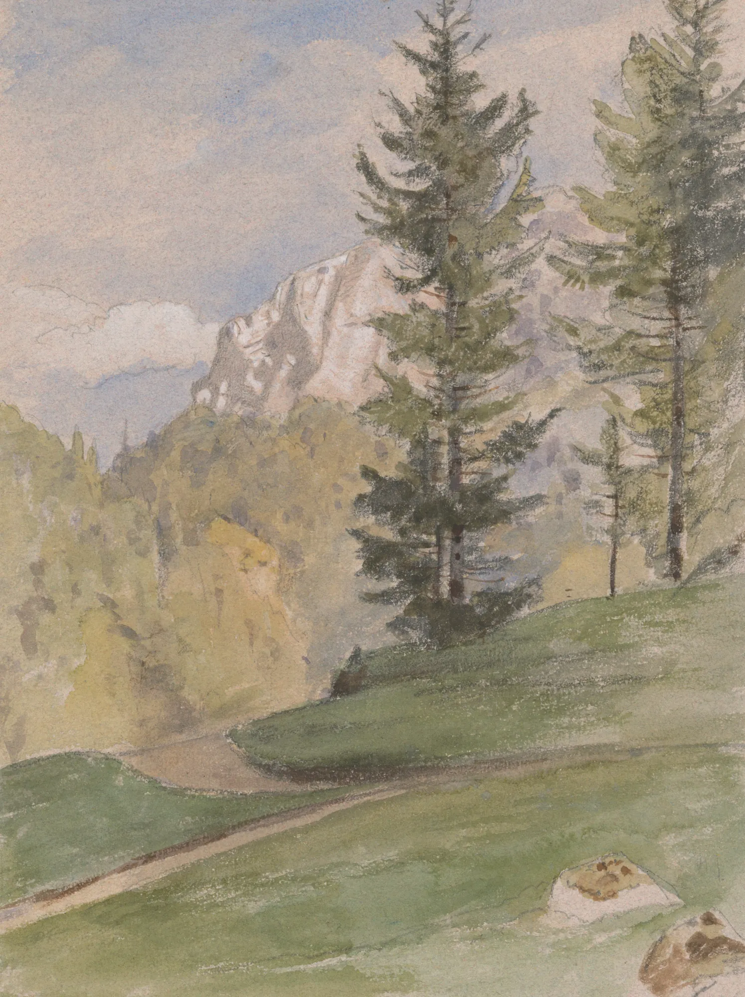 Mountain Landscape with Coniferous Trees