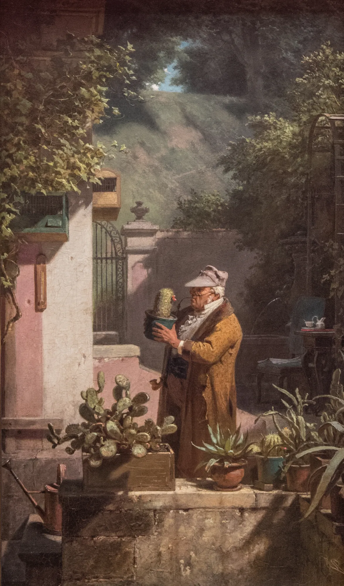 The Cactus Enthusiast