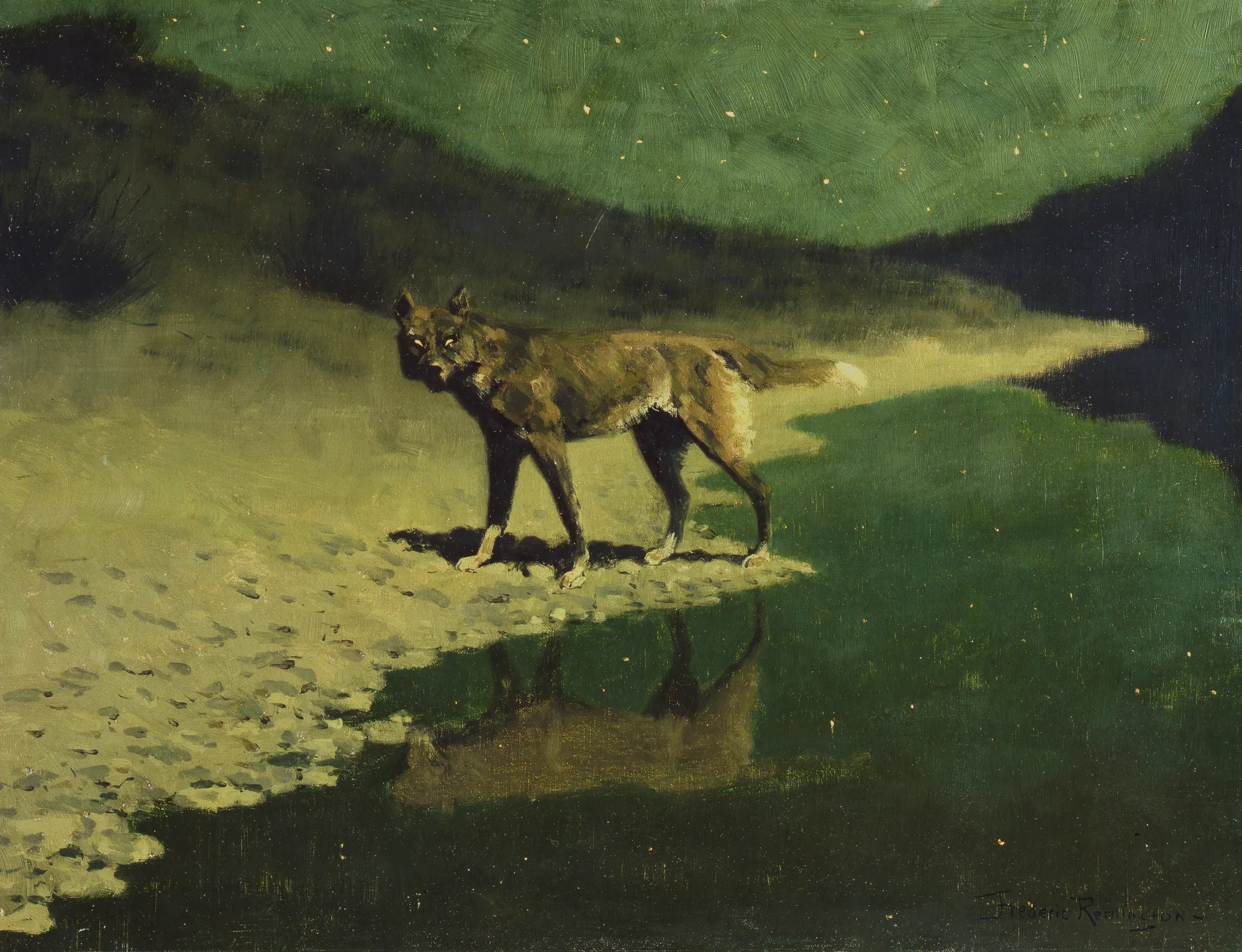 Moonlight, Wolf