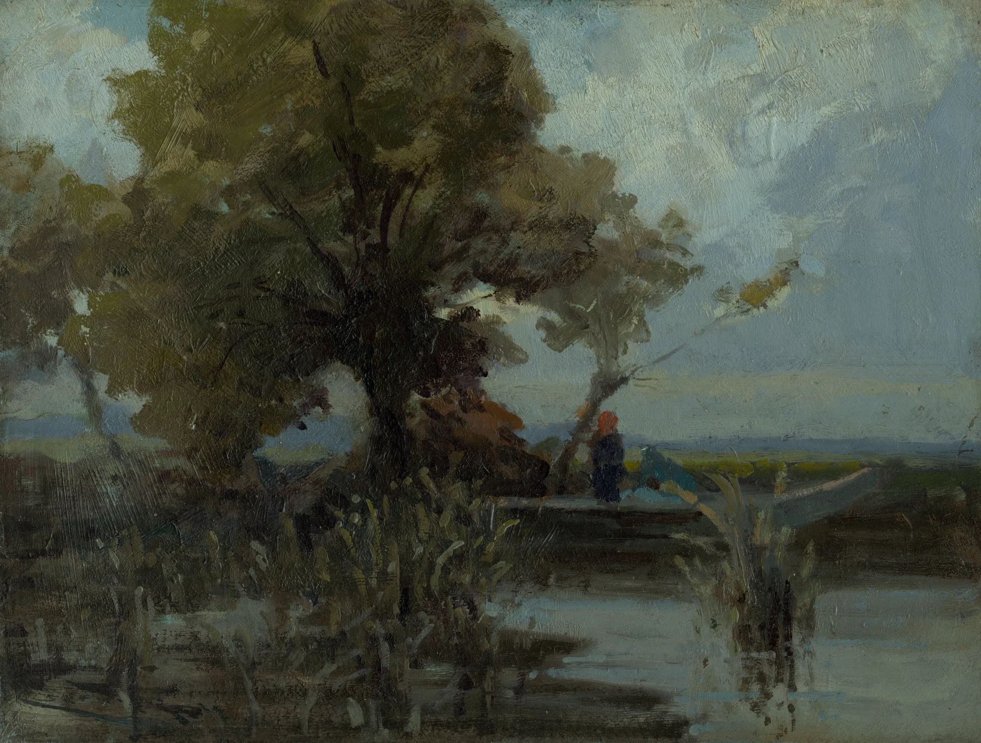 Tree by the Lake (Košatý strom pri jazere)