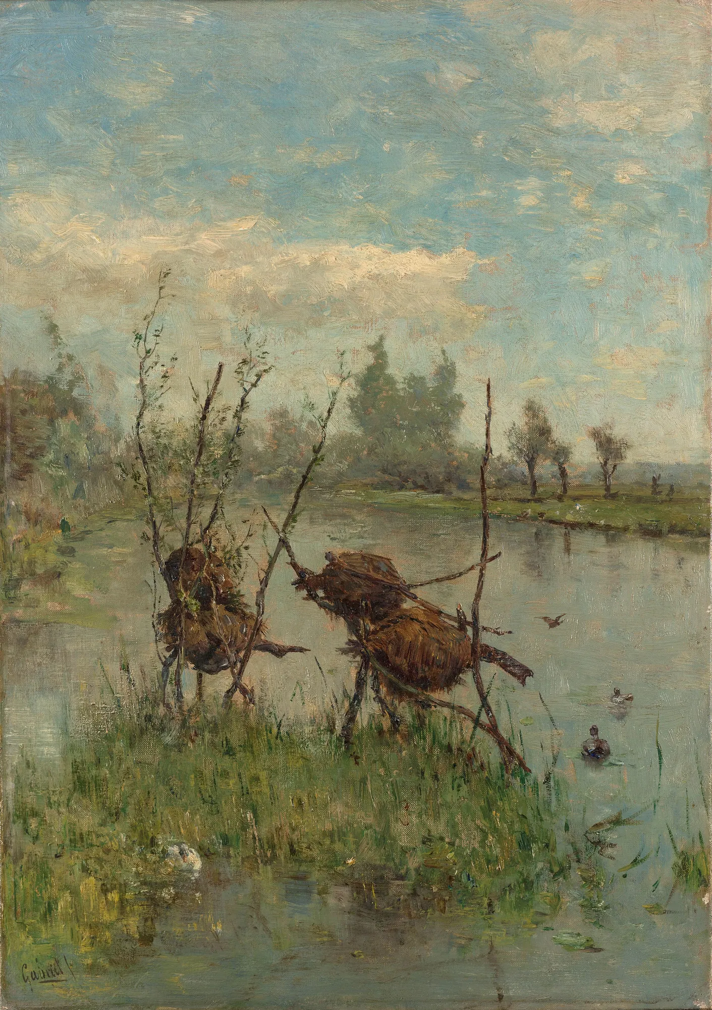 Ducks' Nests