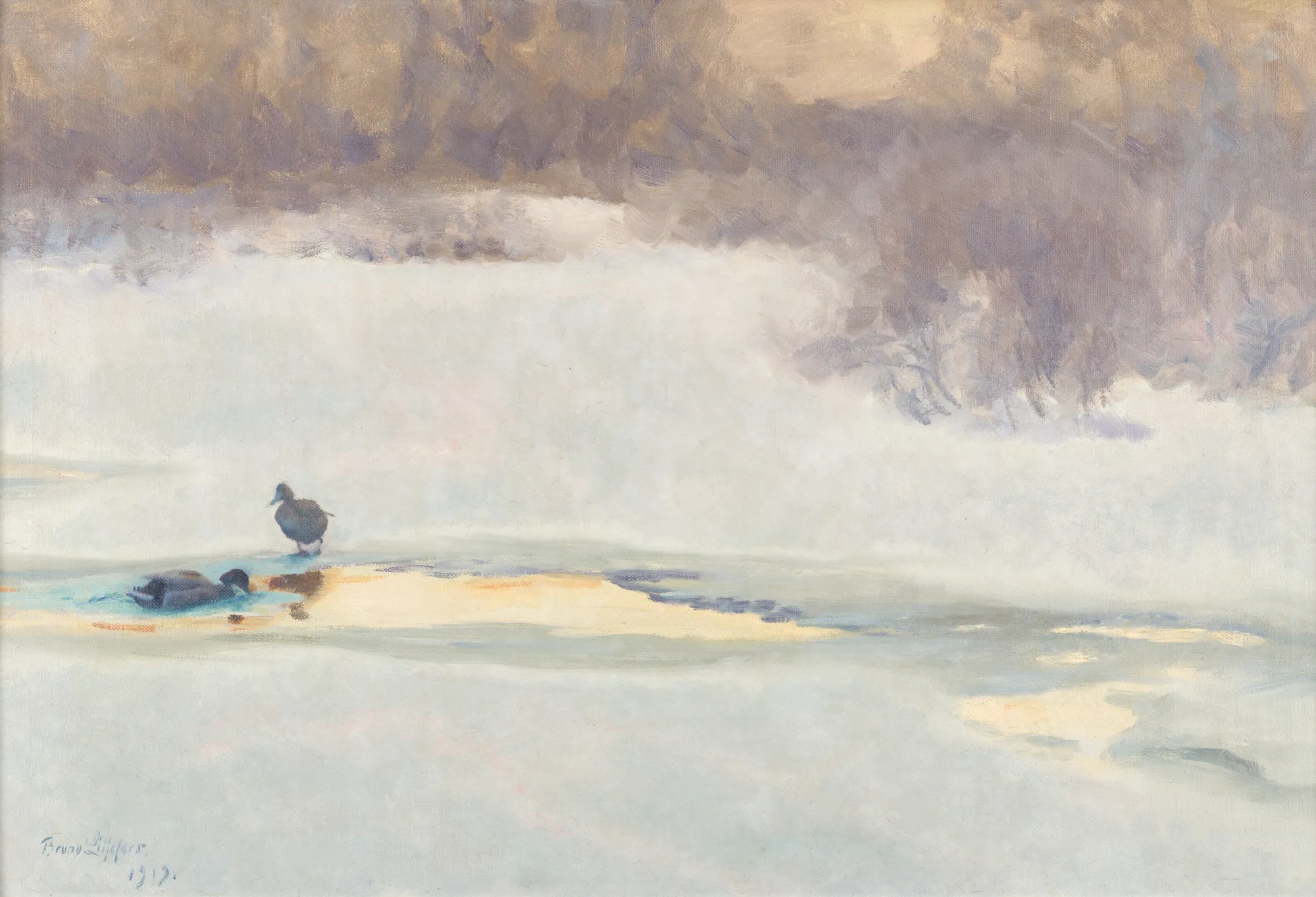 Pair of Wild Ducks by an Ice Hole