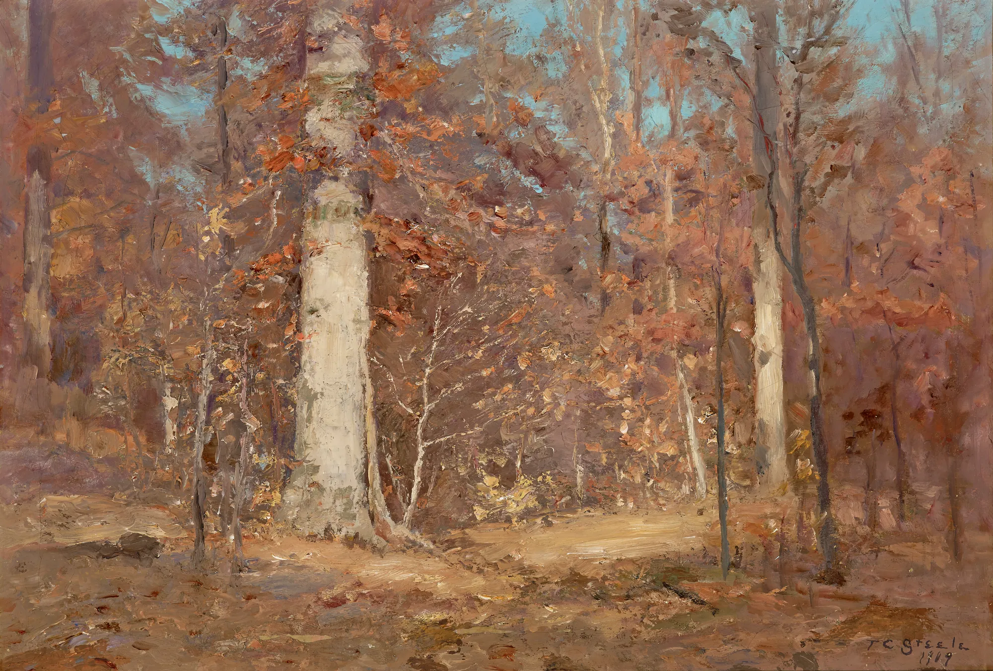 Landscape