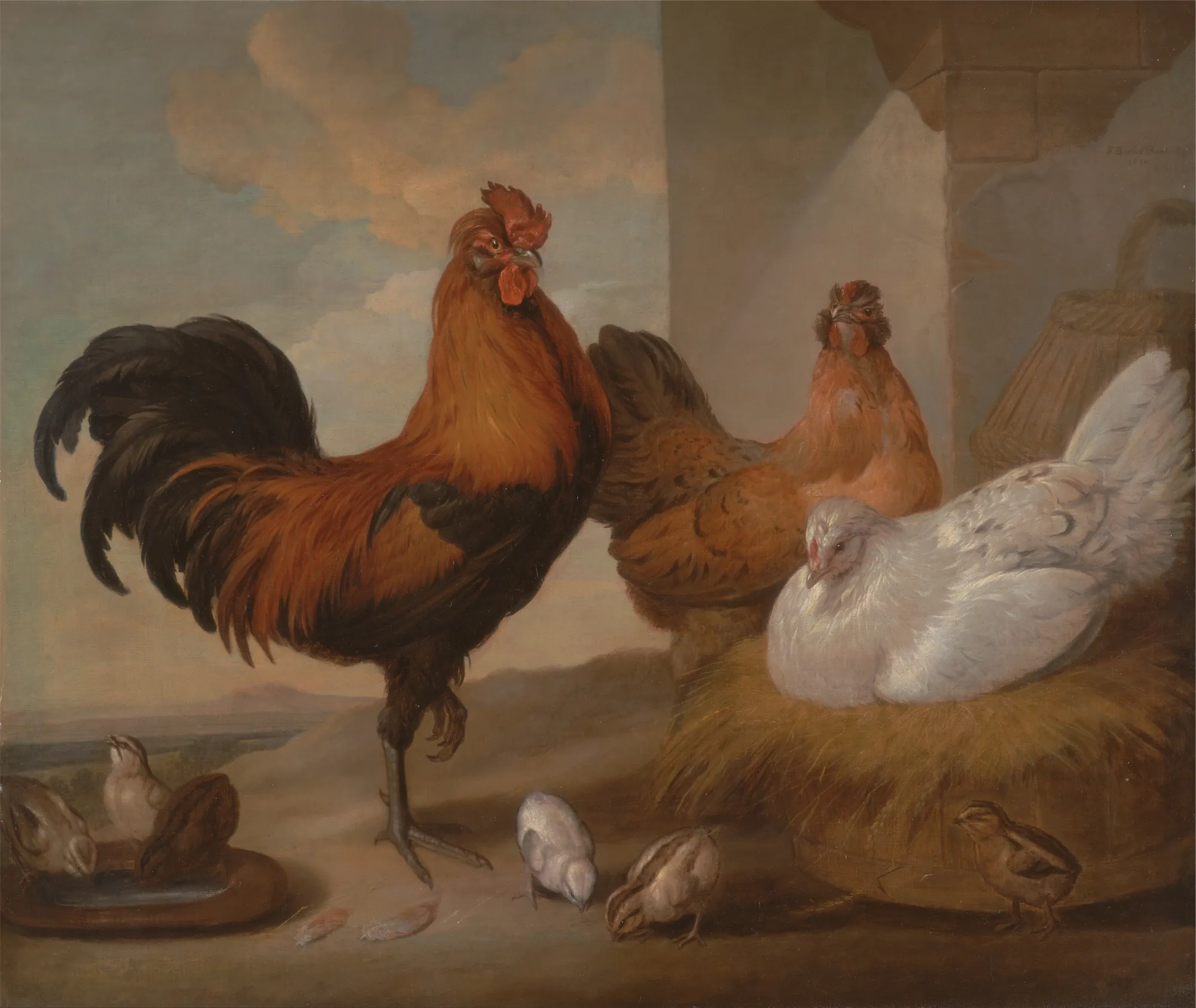 Domestic Cock, Hens, and Chicks Domestic Cock, Hens, and Chicks by Francis Barlow. A group of poultry, including a large reddish-brown rooster, several hens, and small chicks, gathered in a barnyard setting near a straw nest.