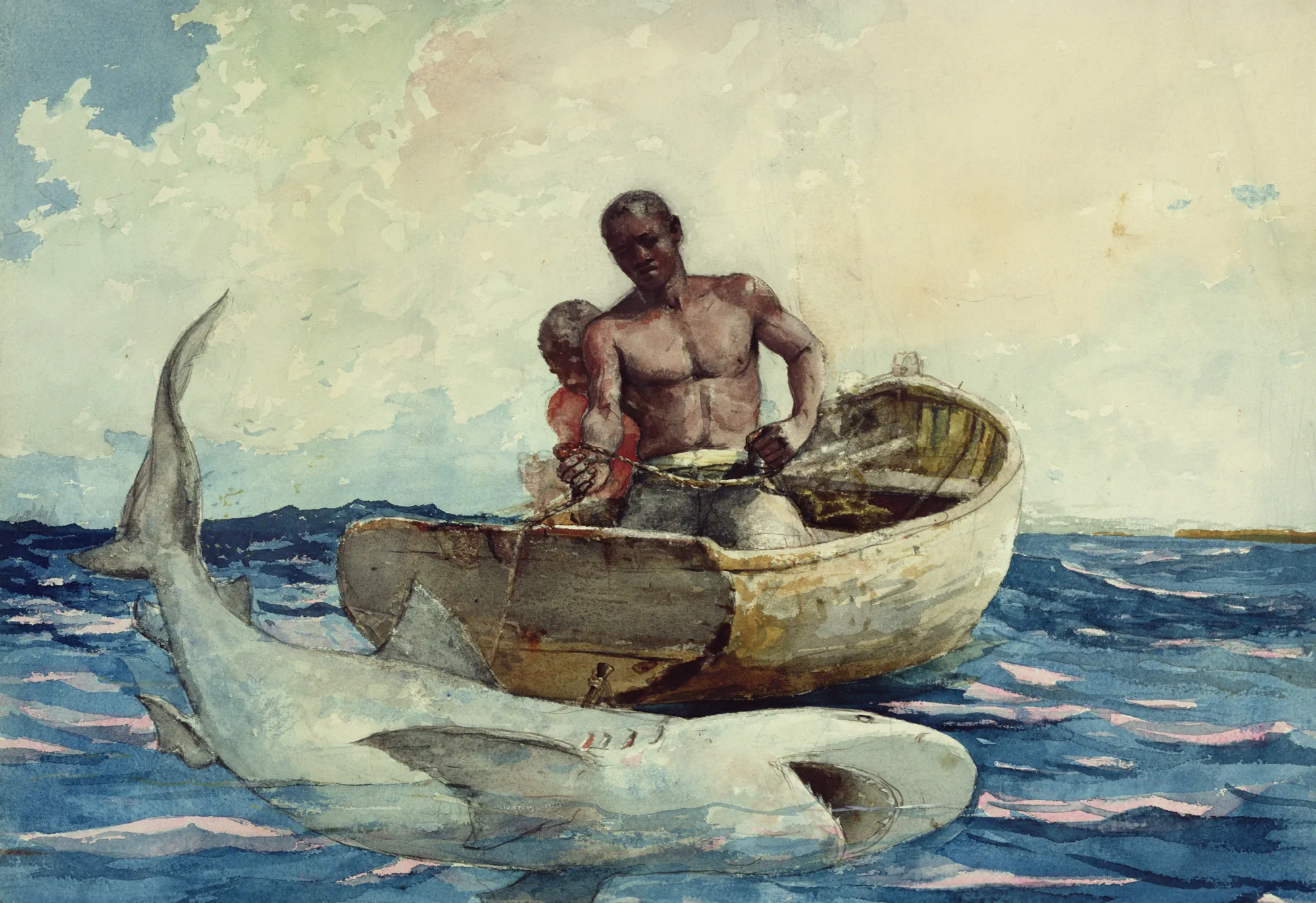 Shark Fishing