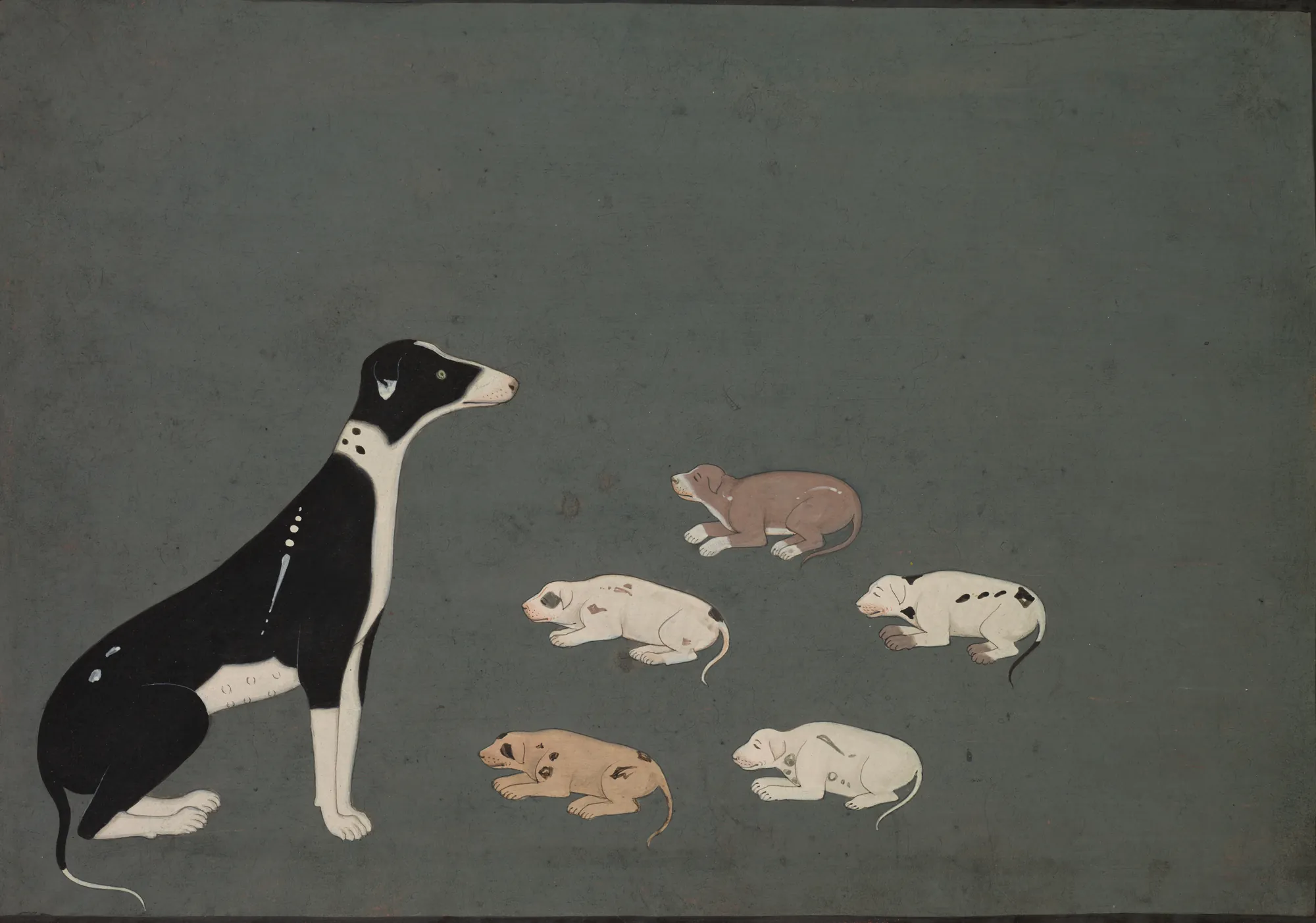 Dog with Pups