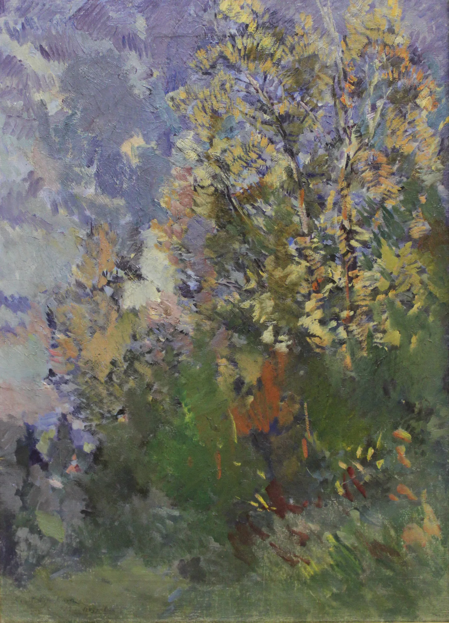 Bushes