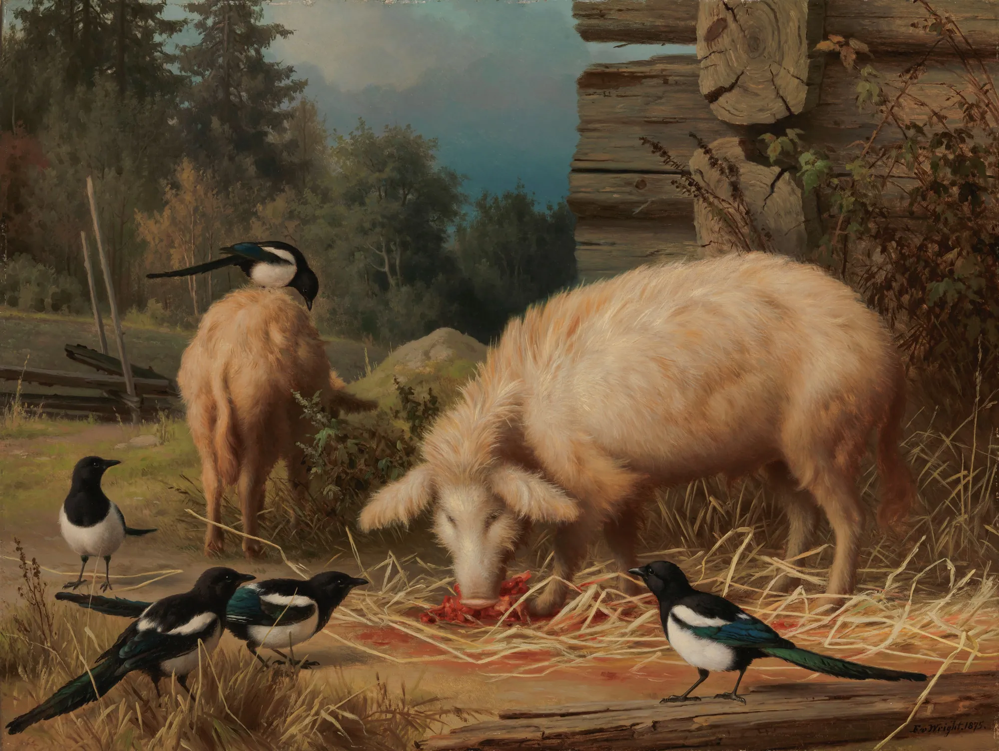 Pigs and Magpies