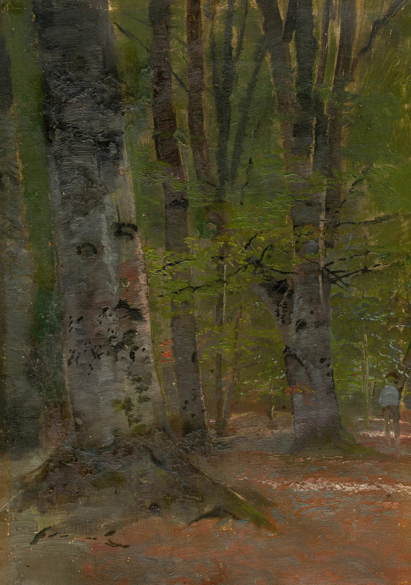 Study of a Forest Interior