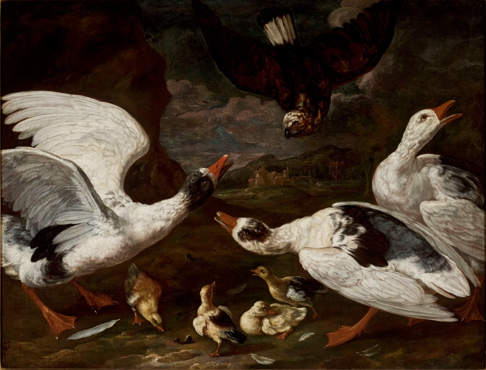 Hawk and Geese