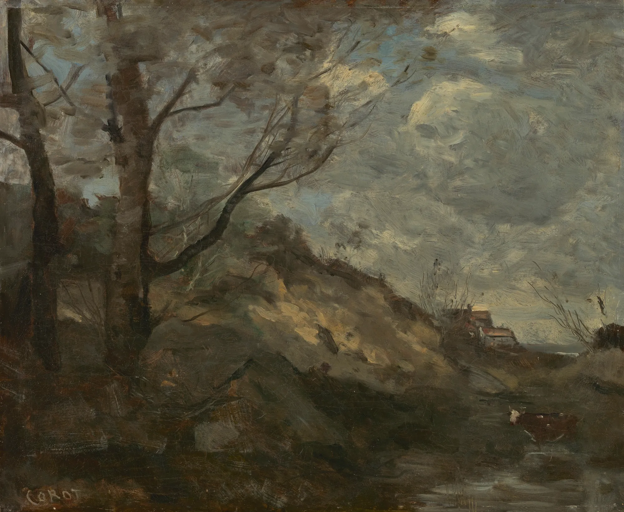 Dune Landscape