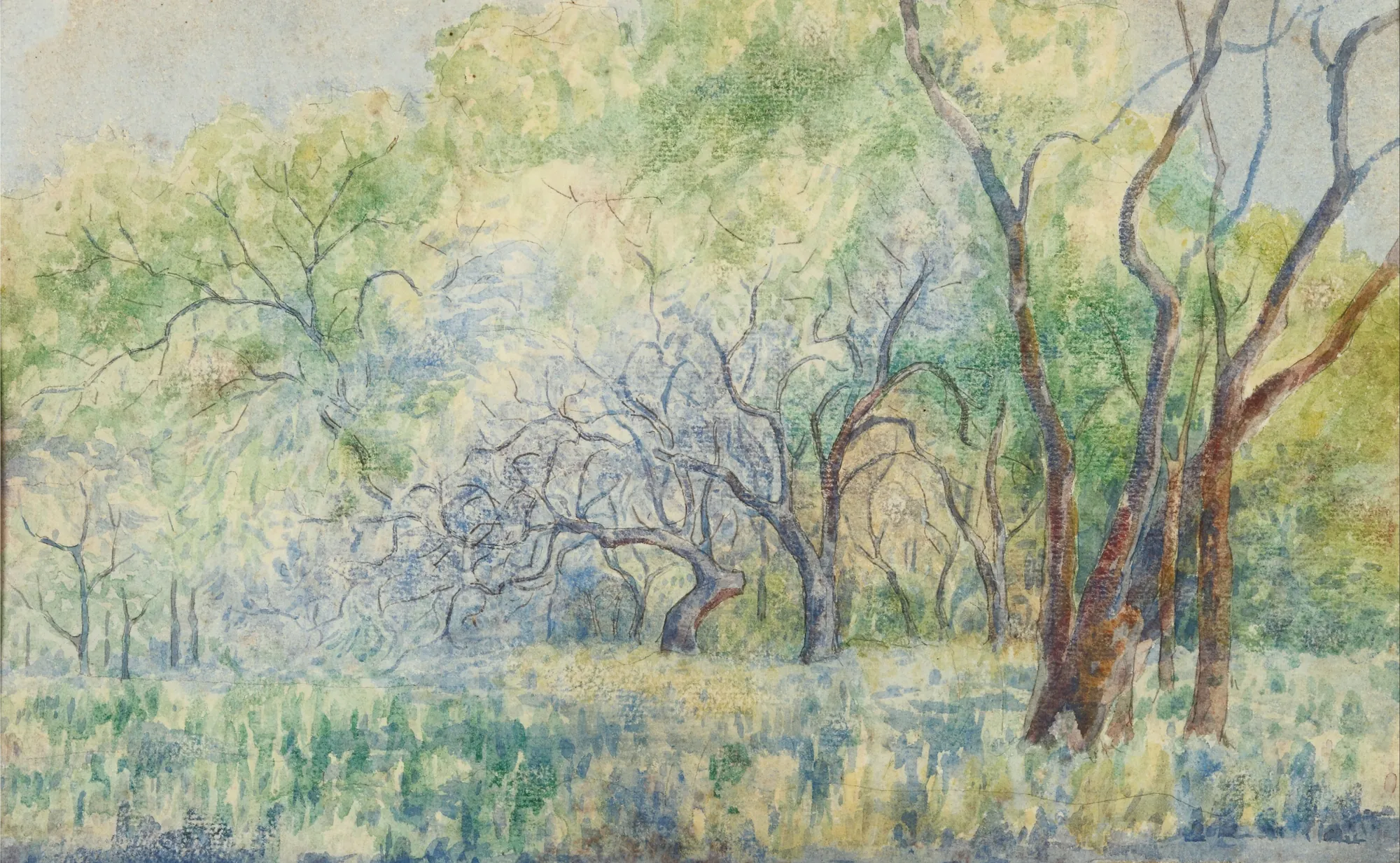 Landscape