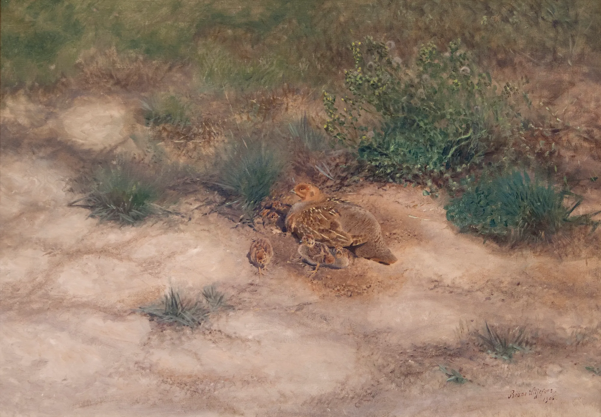 Brood of Partridges