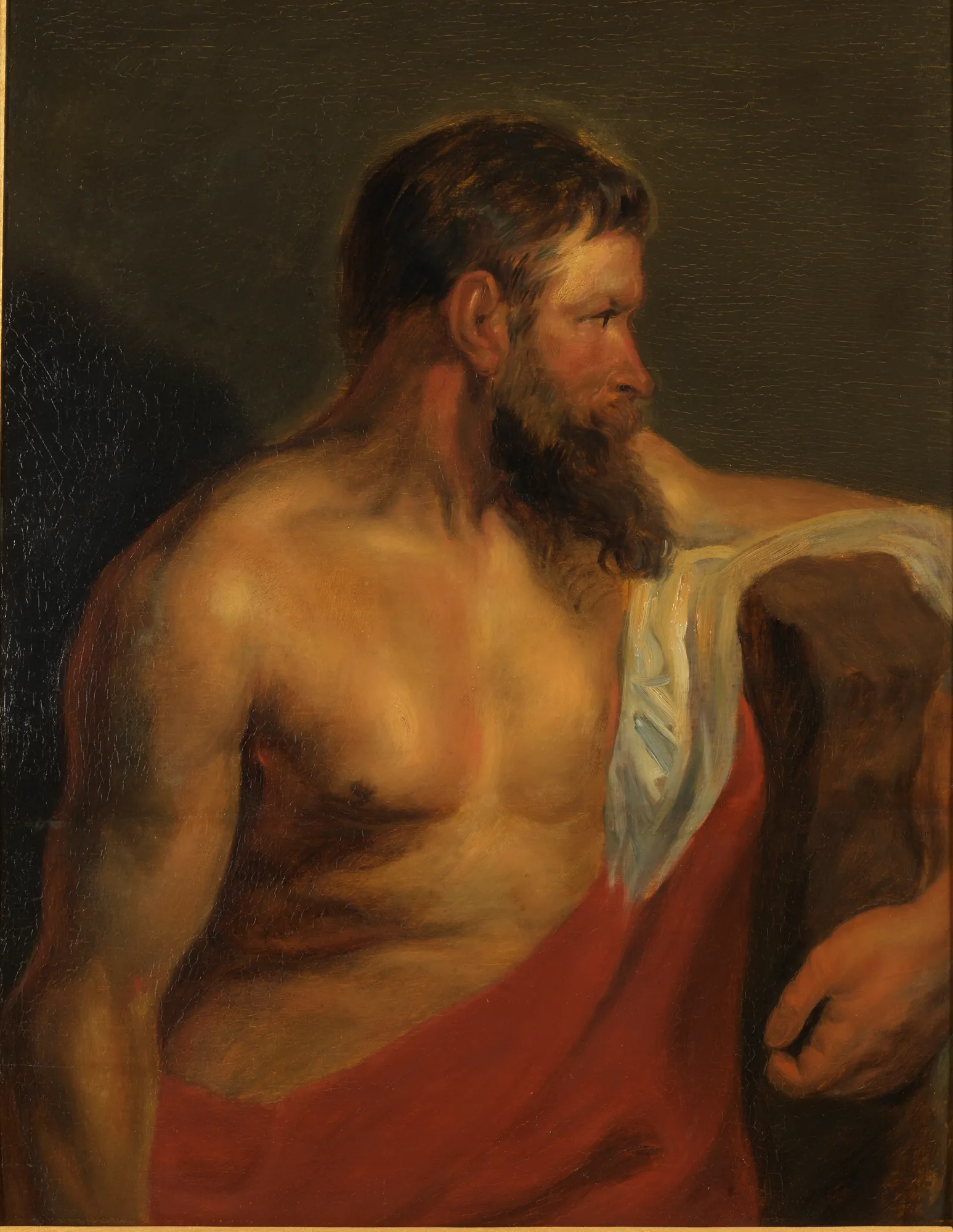 Male Torso