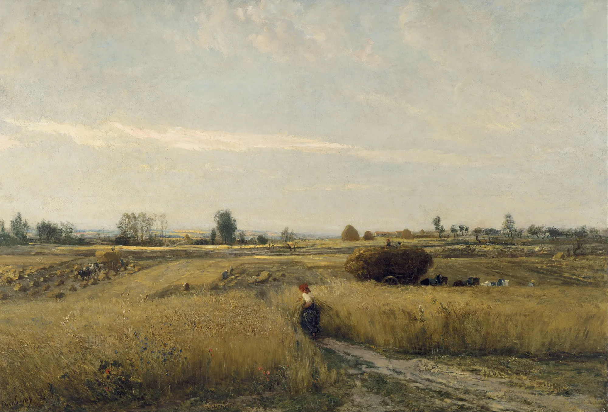 The Harvest