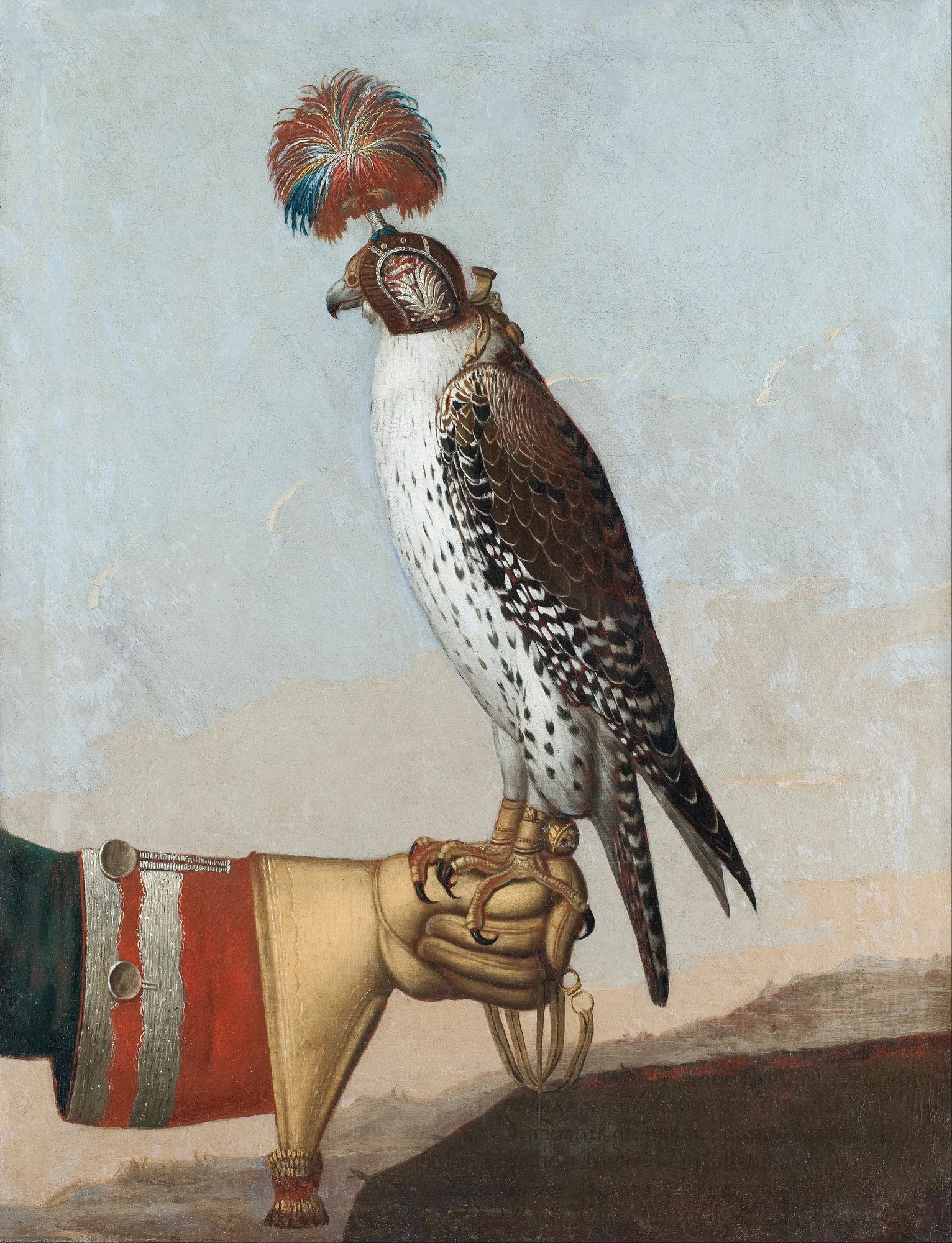 Icelandic Gyrfalcon