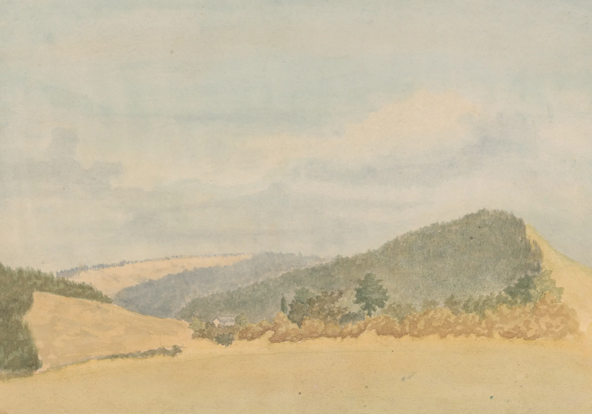 Summer Landscape