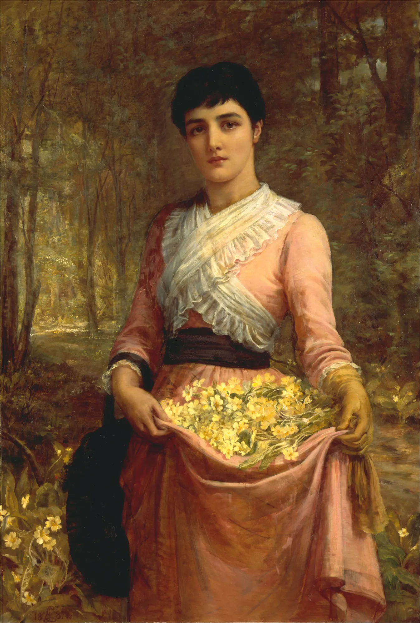 The Primrose