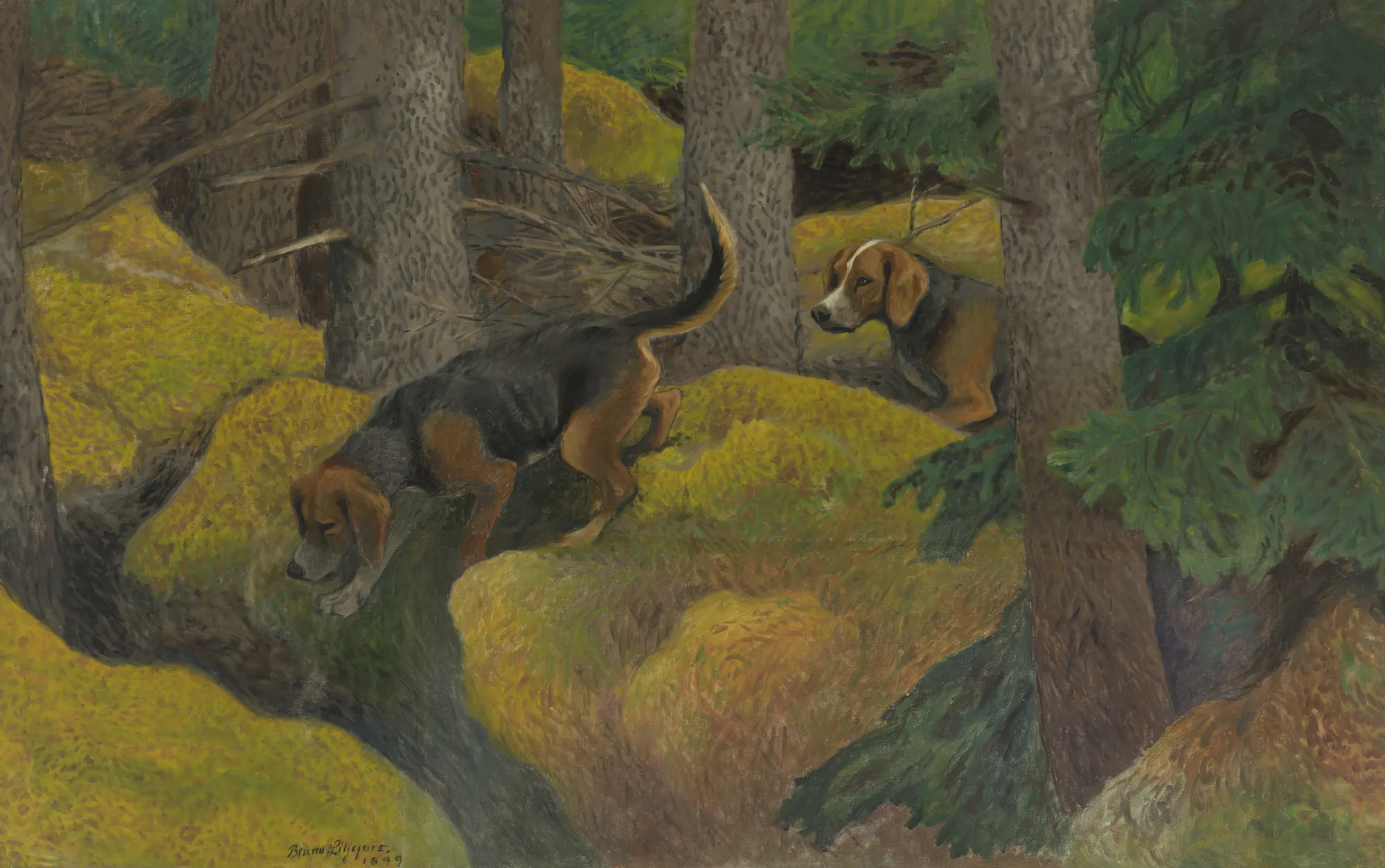 Fox Hounds in a Forest
