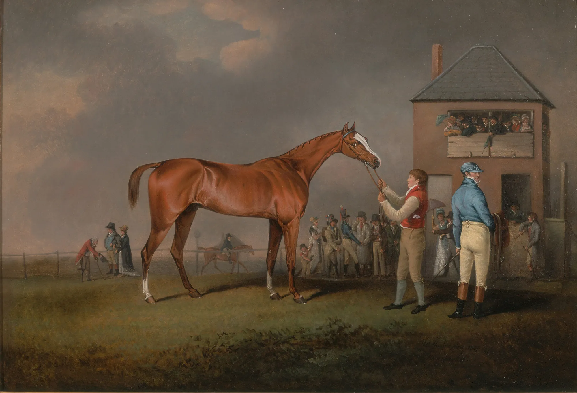 Quiz, After His Last Race at Newmarket