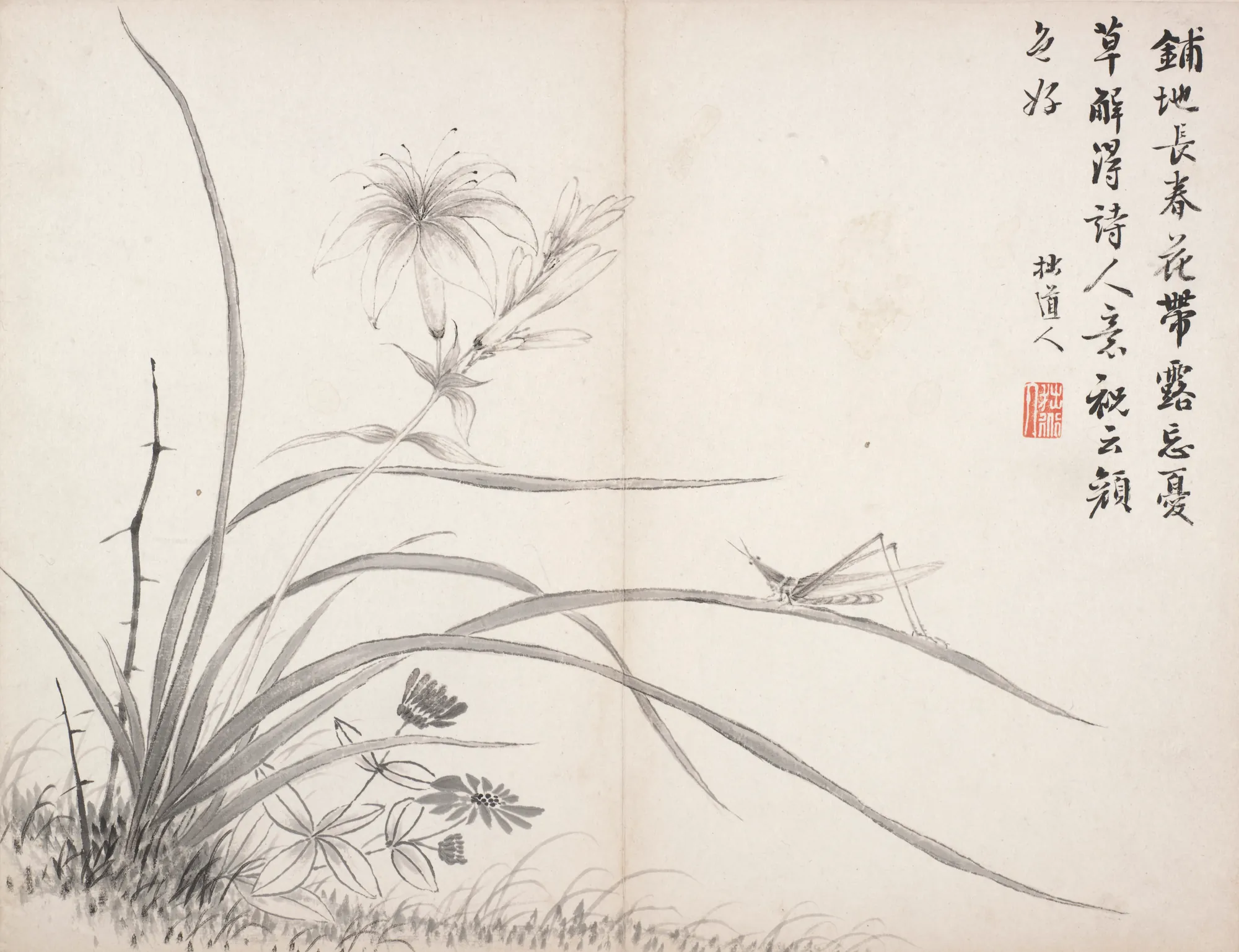 Flower and Grasshopper