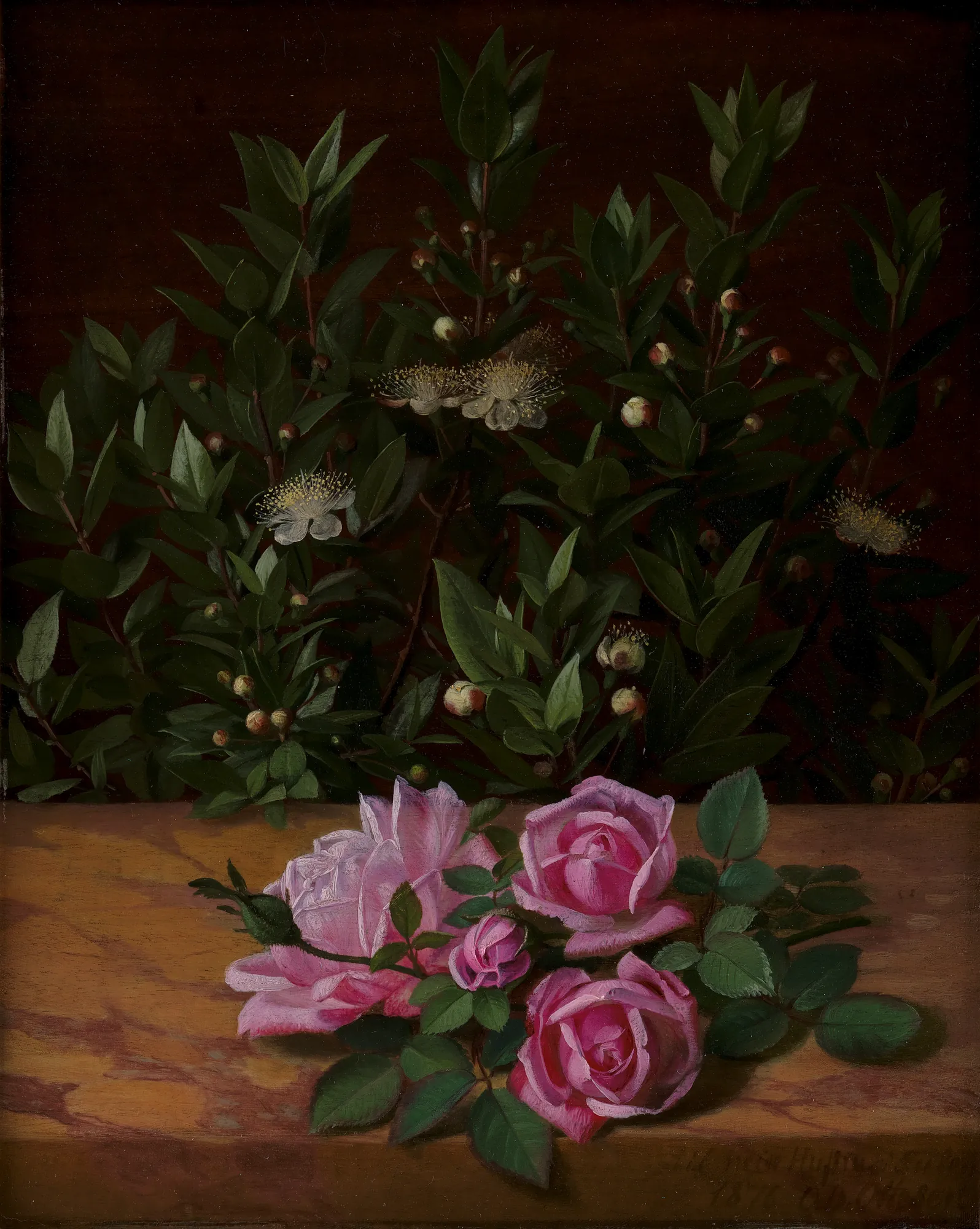 Roses and Myrtles