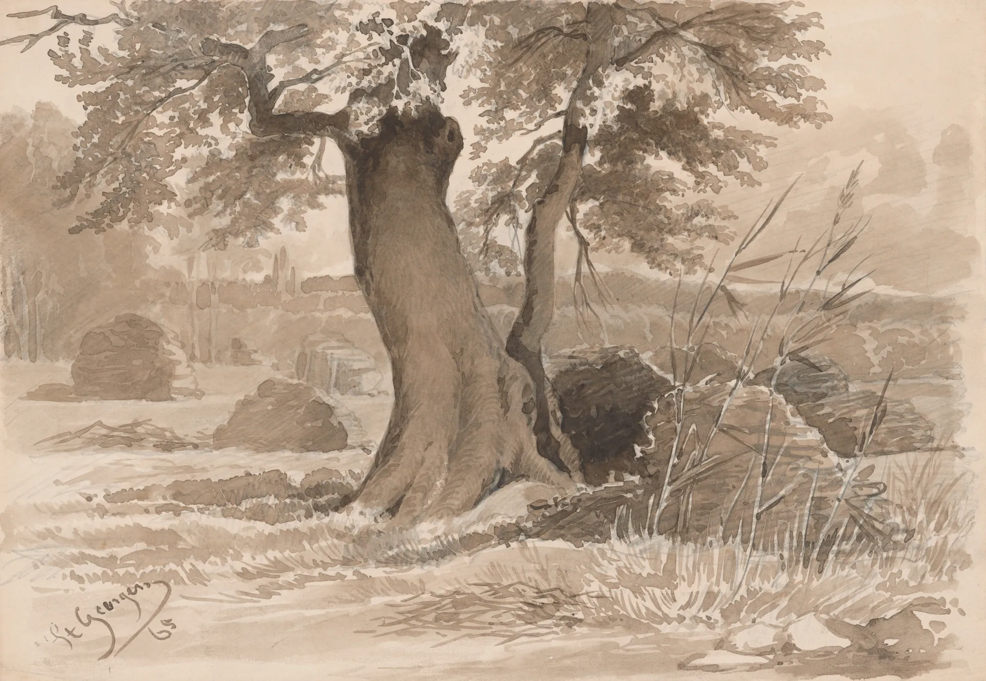 Landscape with a Spreading Tree