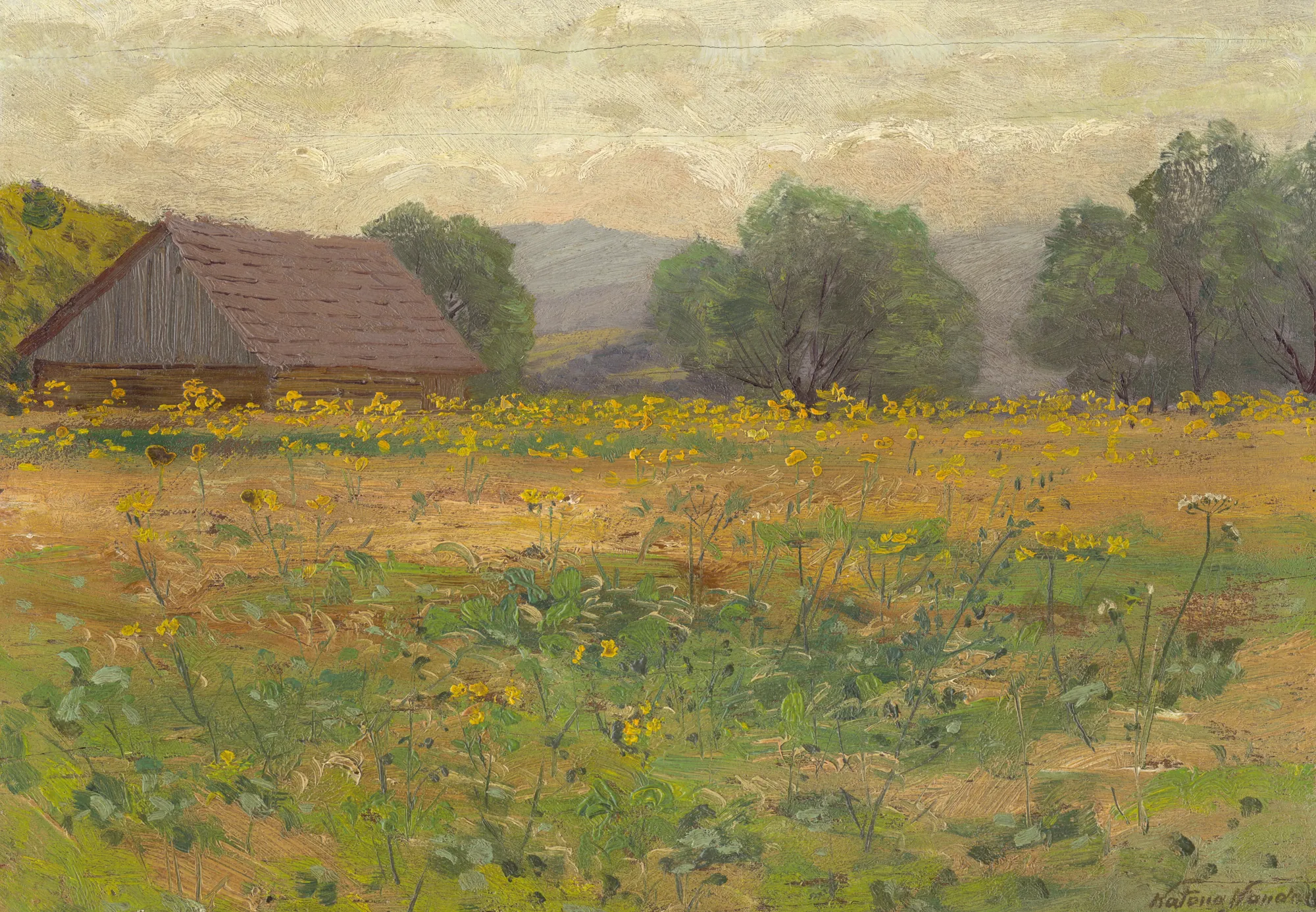 In the Meadow