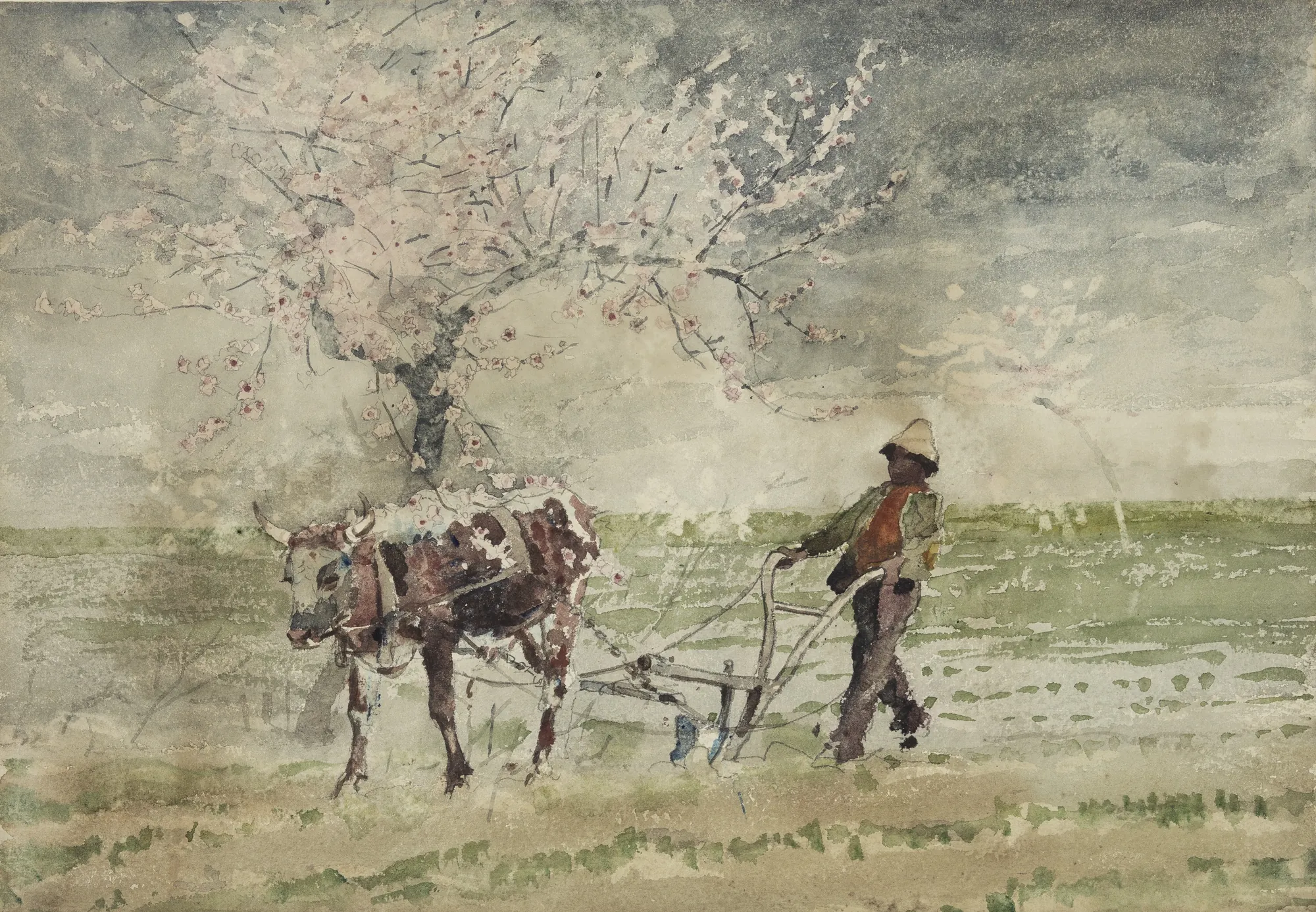 Blossom Time in Virginia Blossom Time in Virginia by Winslow Homer. A man guides a plow pulled by an ox in a field beneath a blossoming fruit tree.
