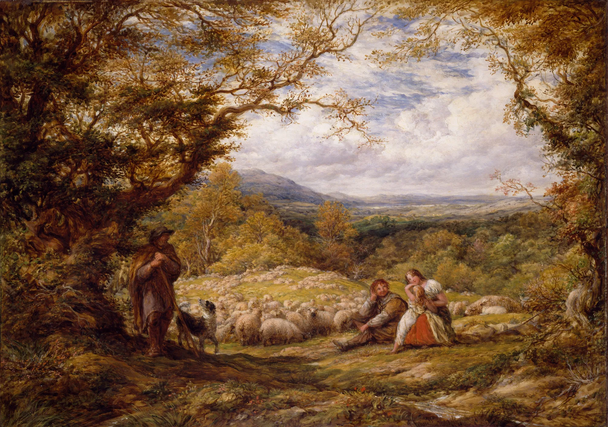 The Sheep Drive The Sheep Drive by John Linnell. A shepherd stands with his dog near a flock of sheep, while a seated man and woman rest on the grass under a canopy of golden-leaved trees overlooking a wide valley.