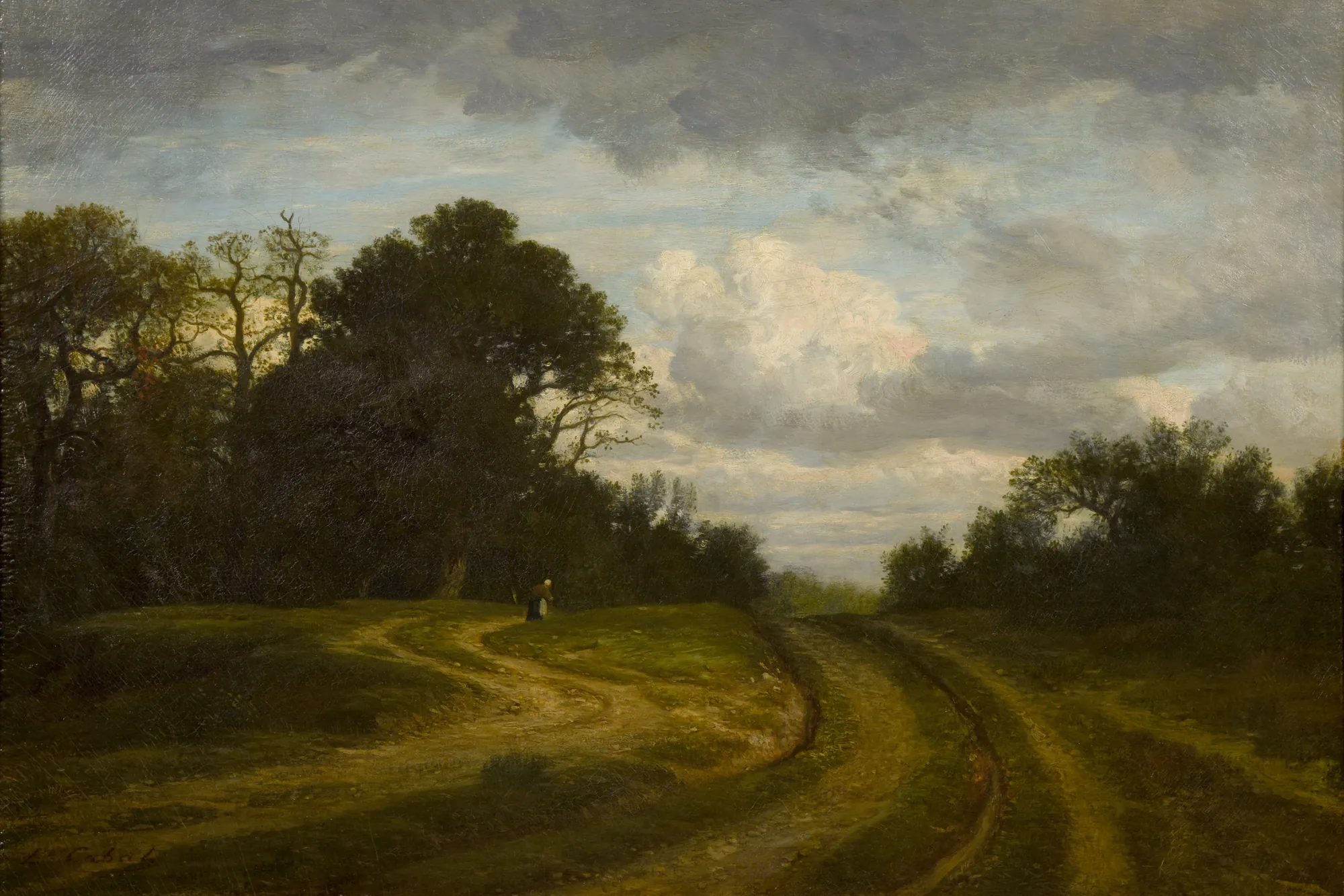 Road in the Forest