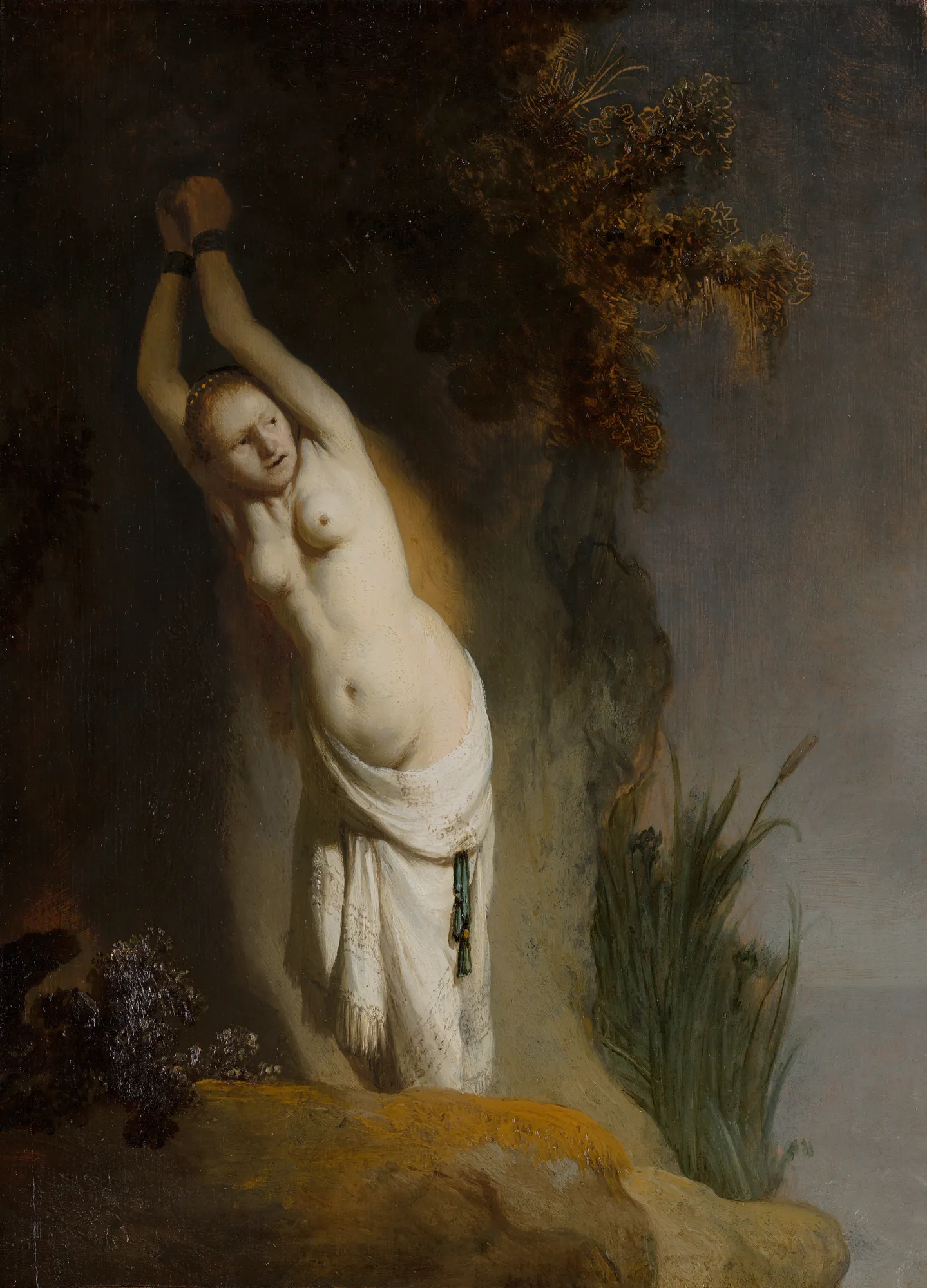 Andromeda Chained to the Rocks Andromeda Chained to the Rocks by Rembrandt. A terrified young woman stands chained by her wrists to a dark cliff face, her body brightly illuminated against the deep shadows.