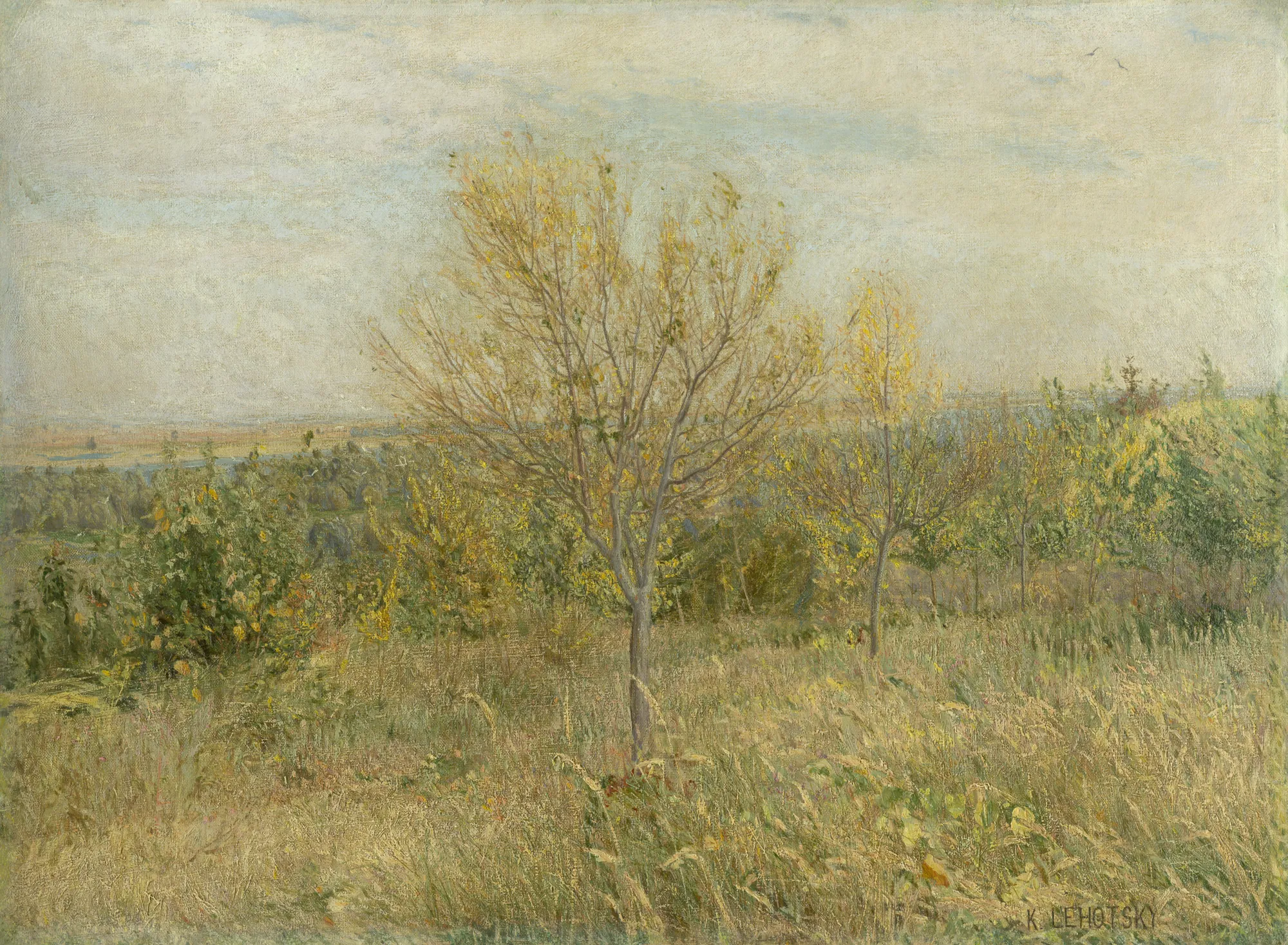 Autumn Landscape