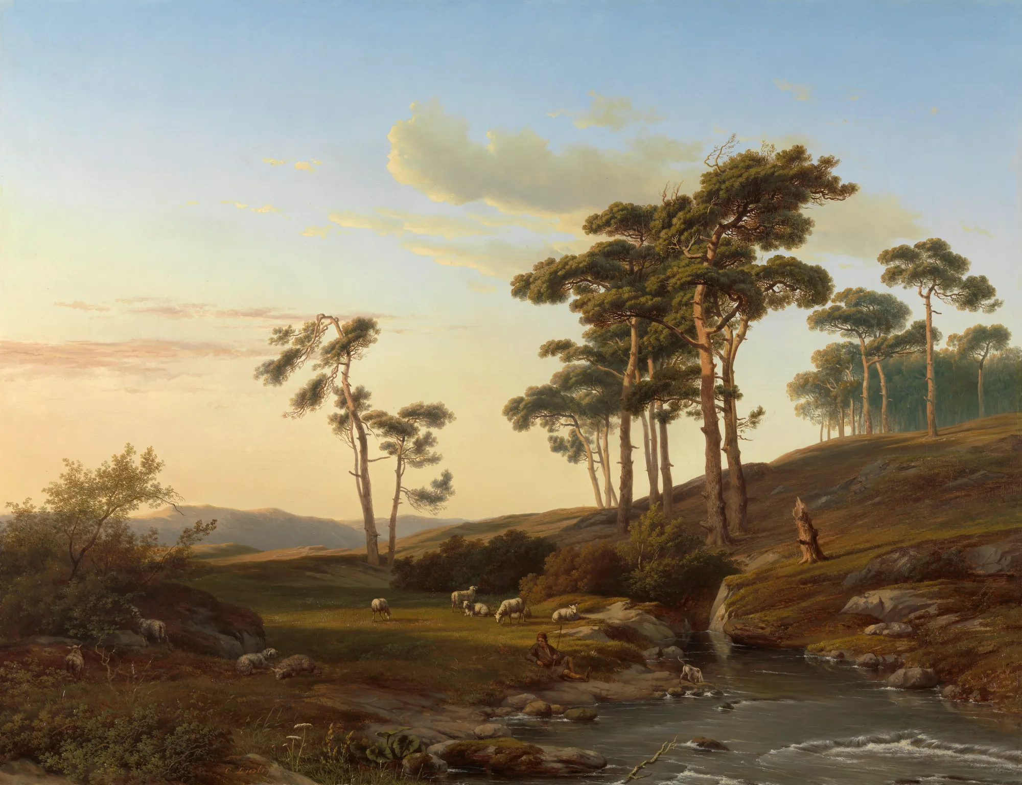 Twilight with Shepherd