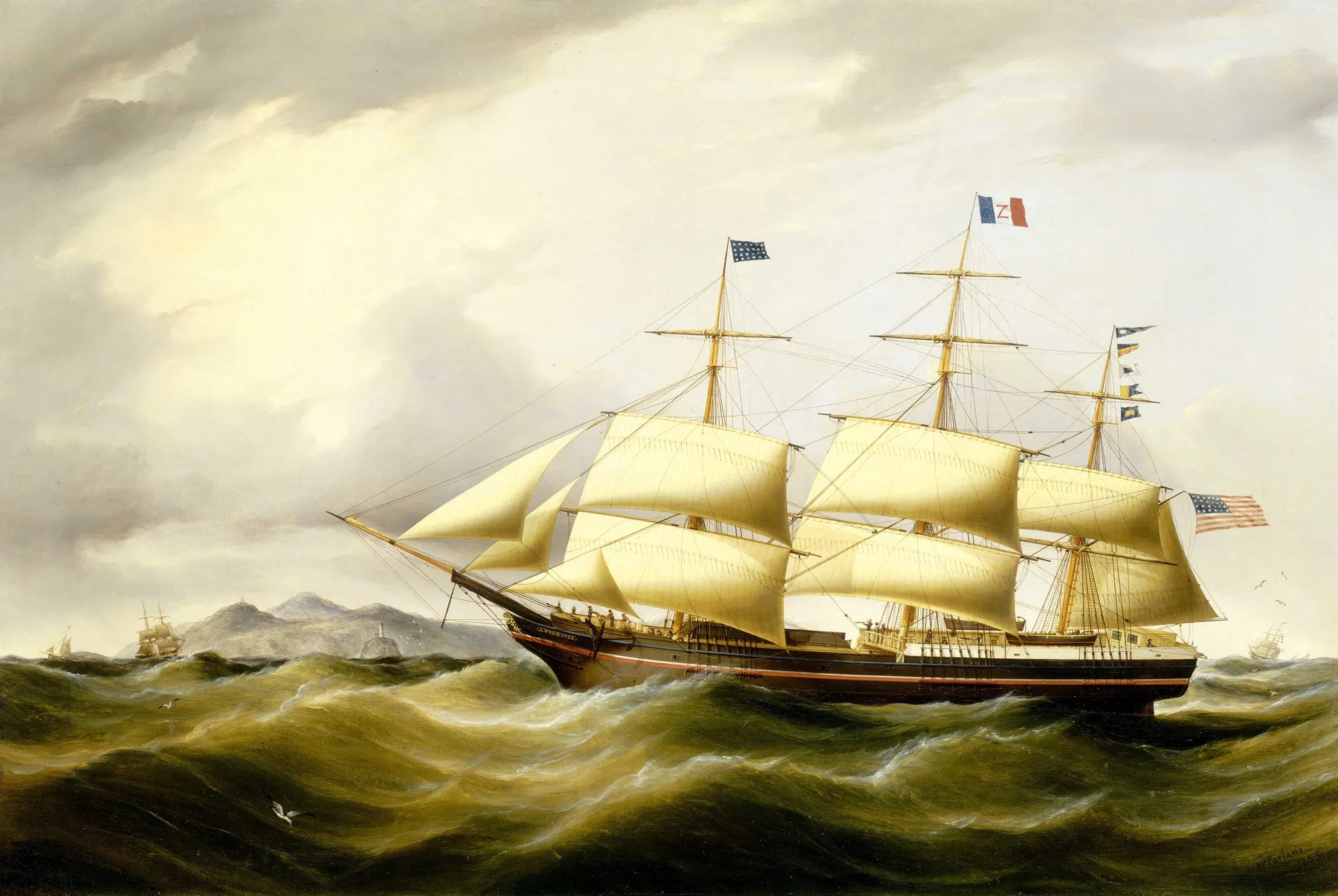 The Packet 'Antarctic'