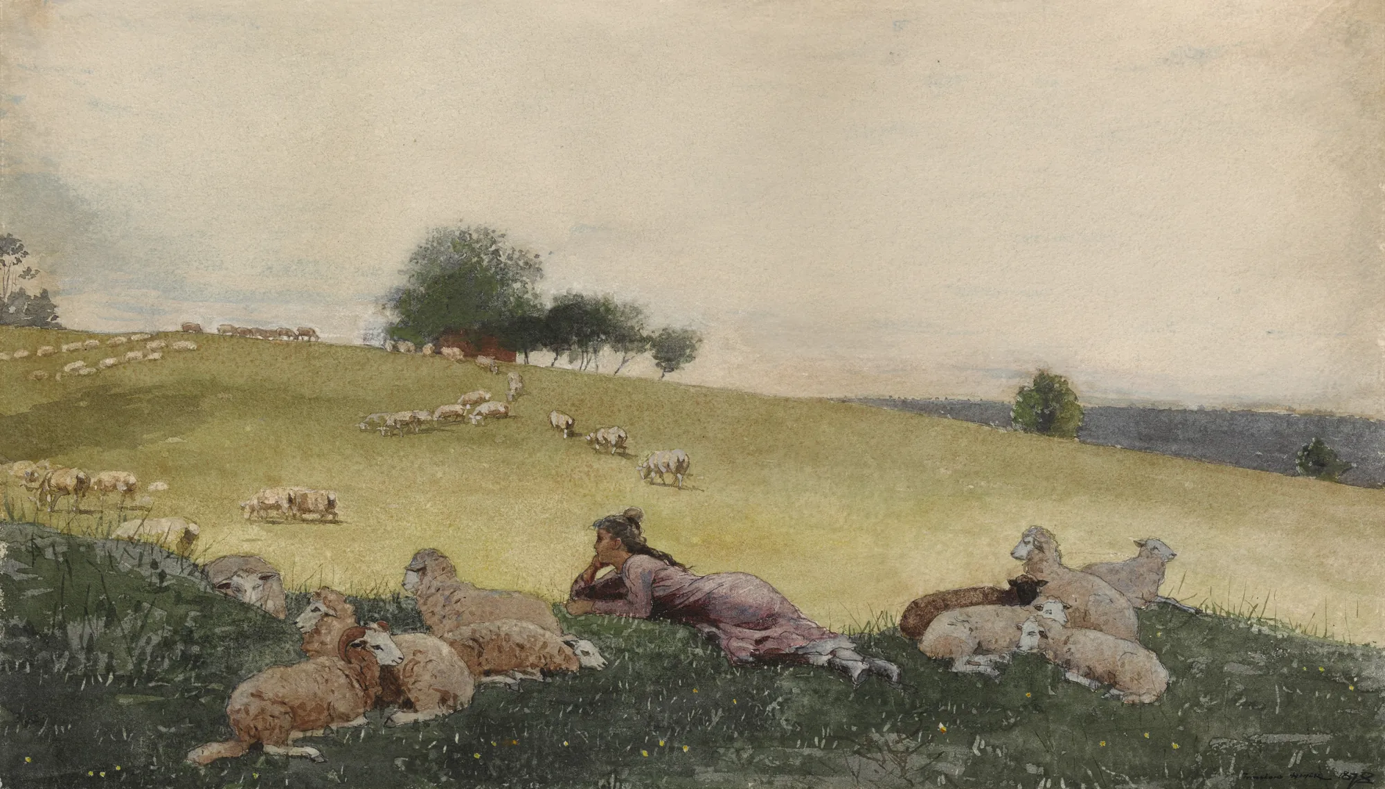 Shepherdess of Houghton Farm