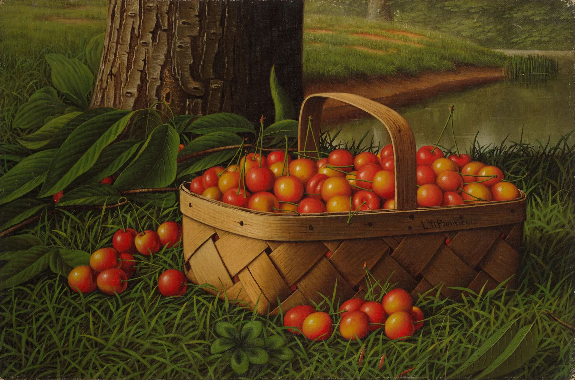 Cherries in a Basket