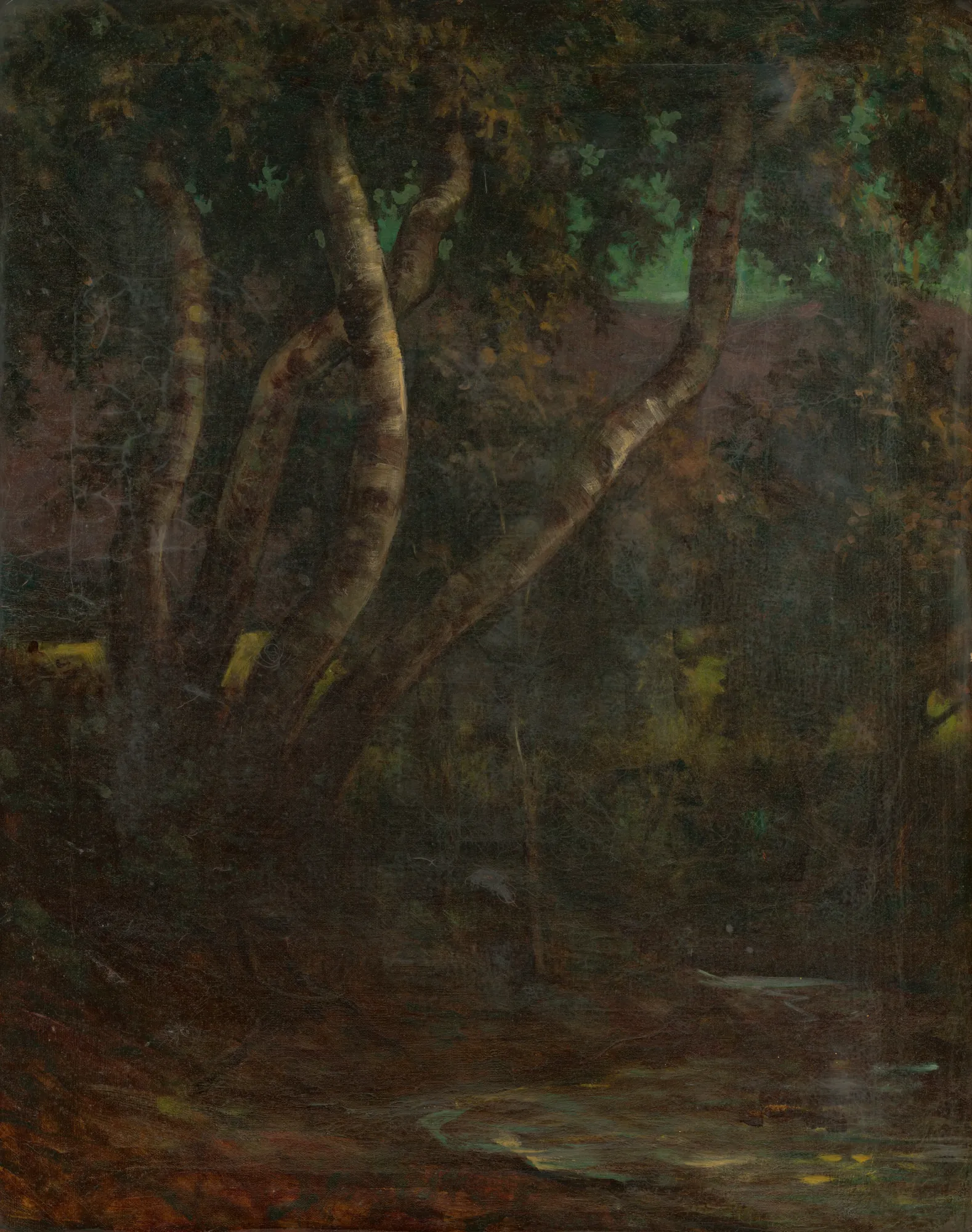 Les (The Forest) Les (The Forest) by Milan Thomka Mitrovský. An atmospheric oil painting of a dense forest featuring thick, leaning tree trunks set against deep shadows.