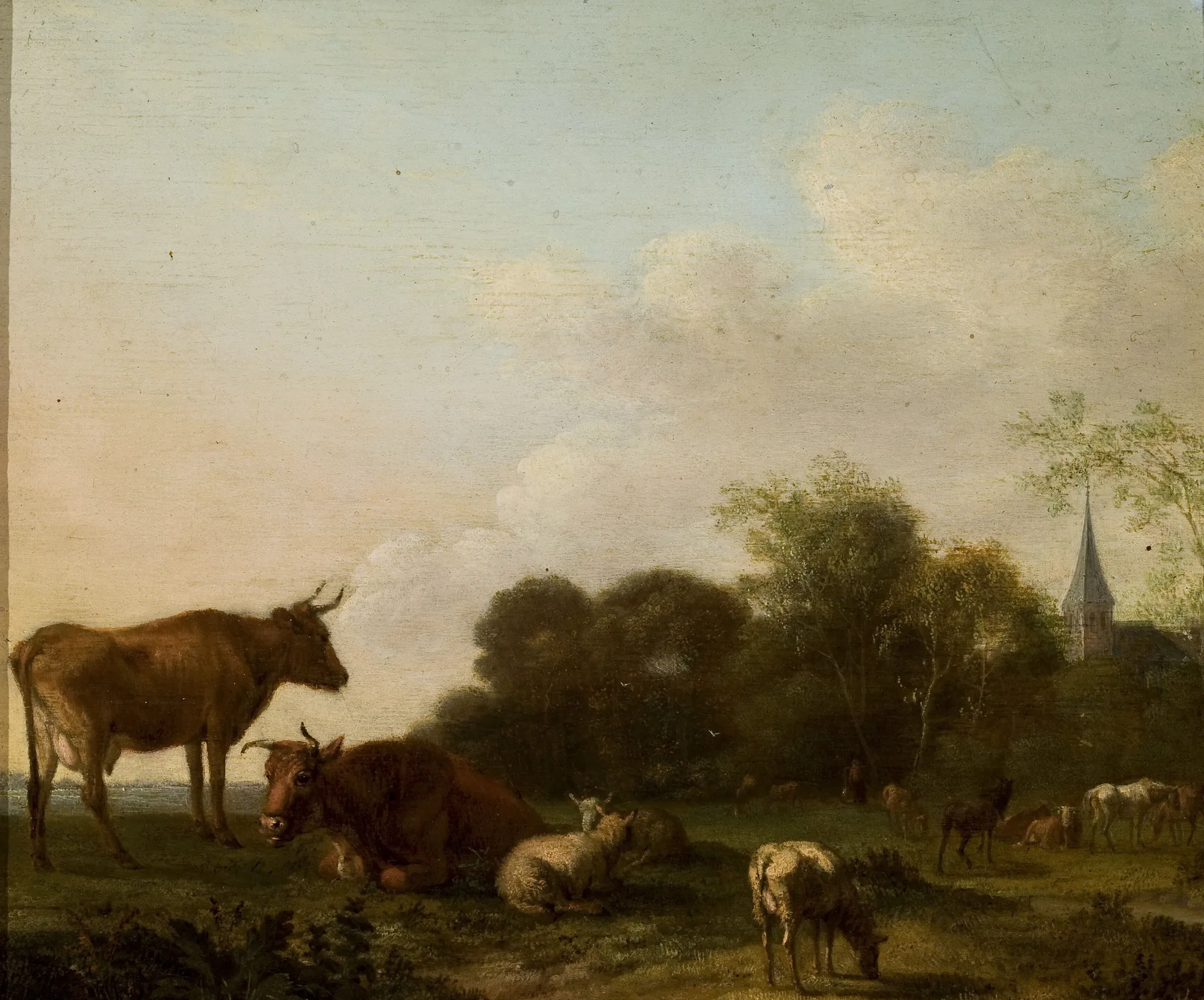 Pasture