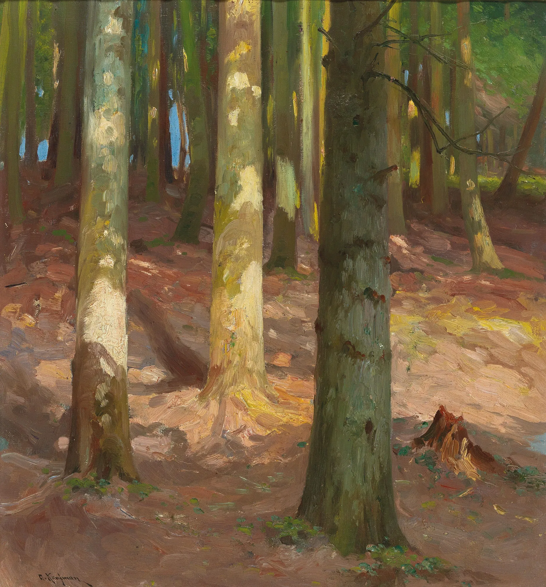 Forest