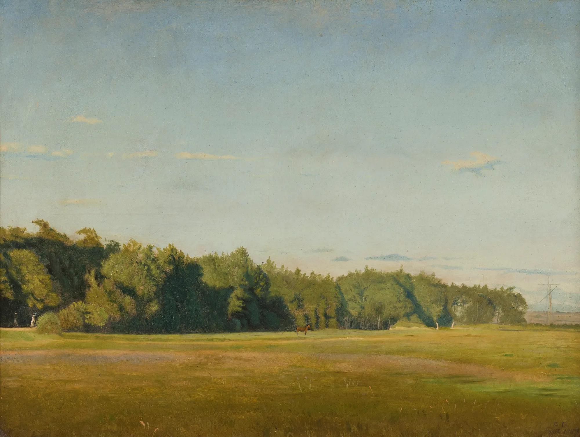 Landscape