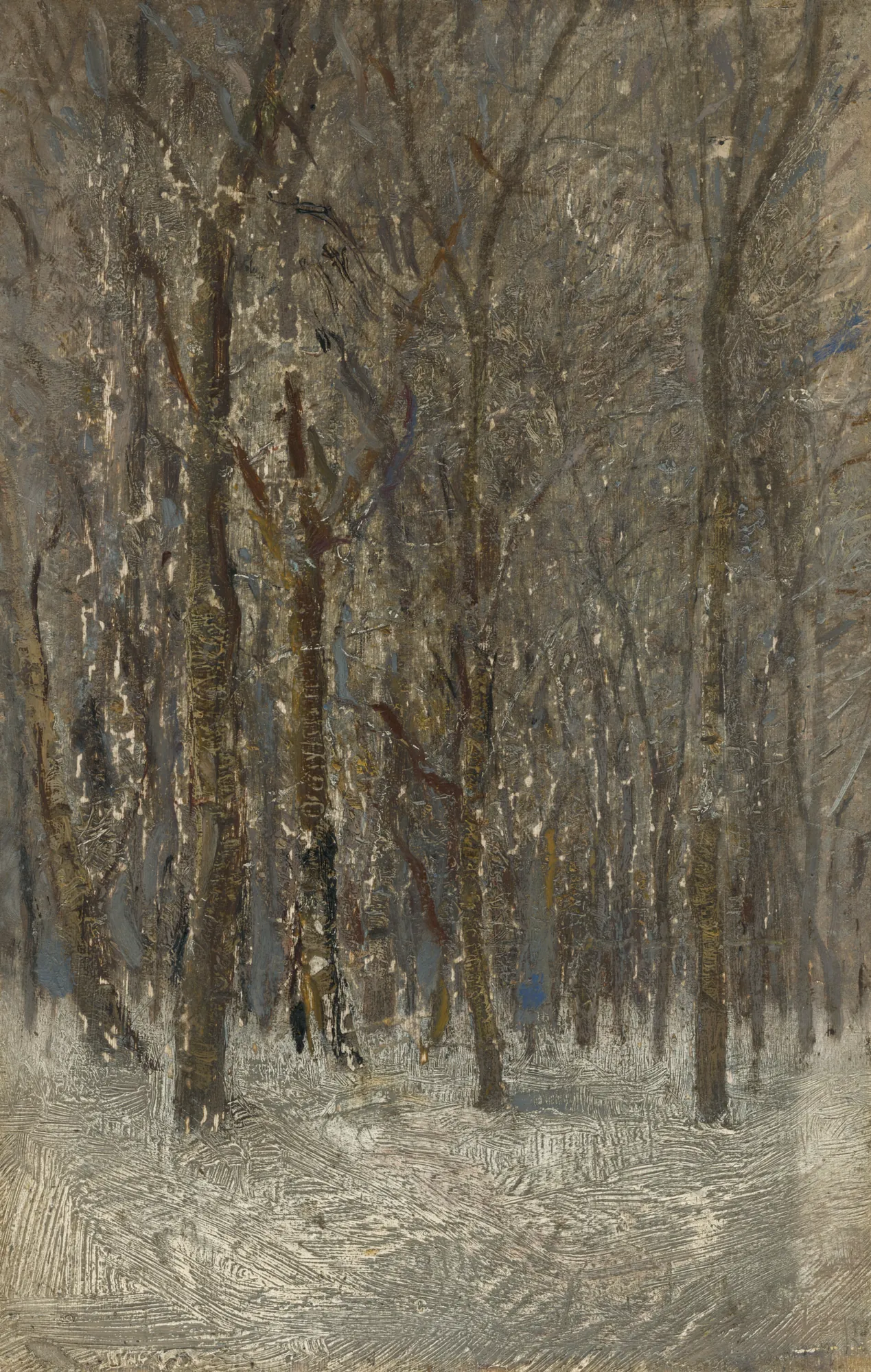 Winter Forest