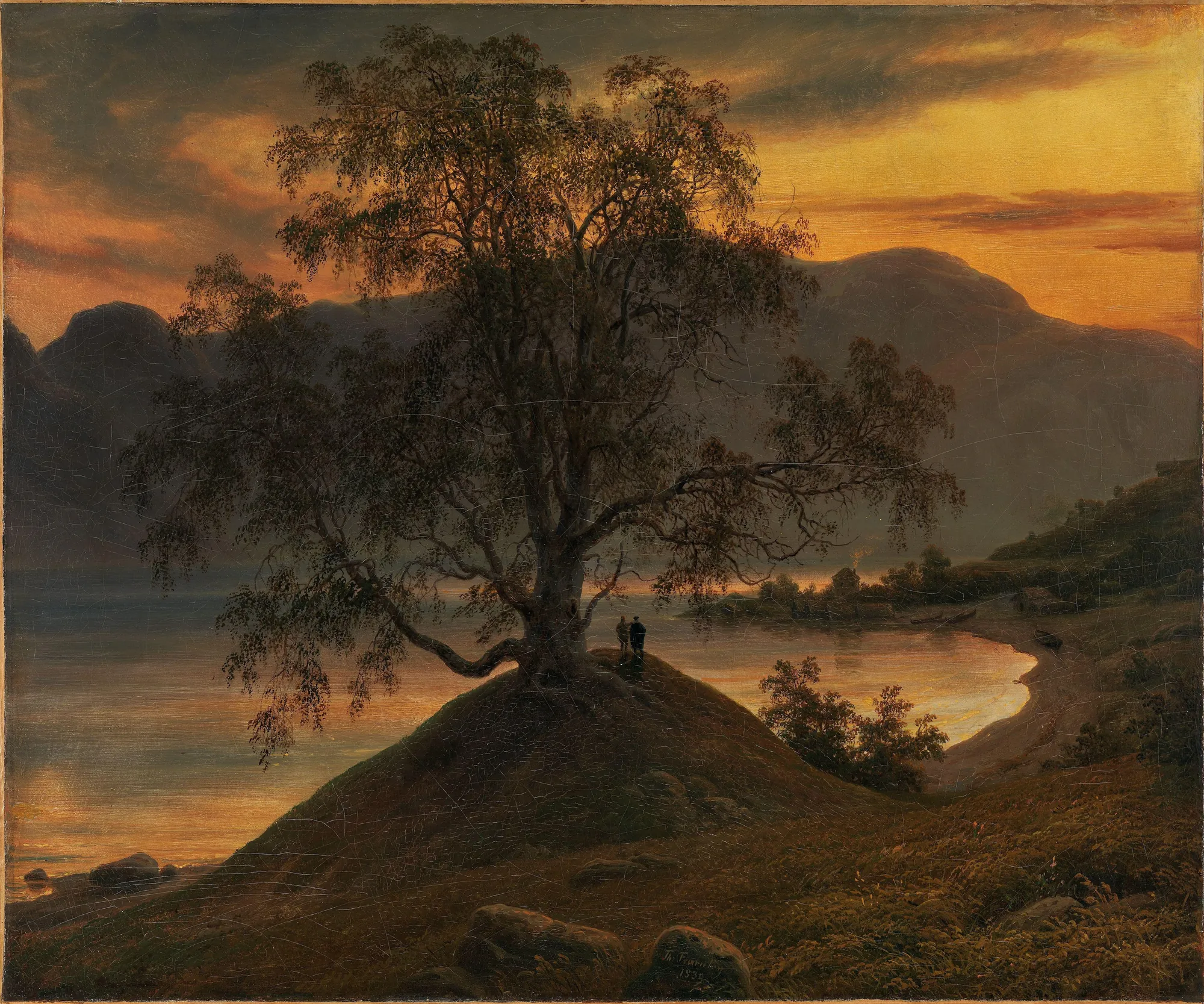 Old Birch Tree at the Sognefjord