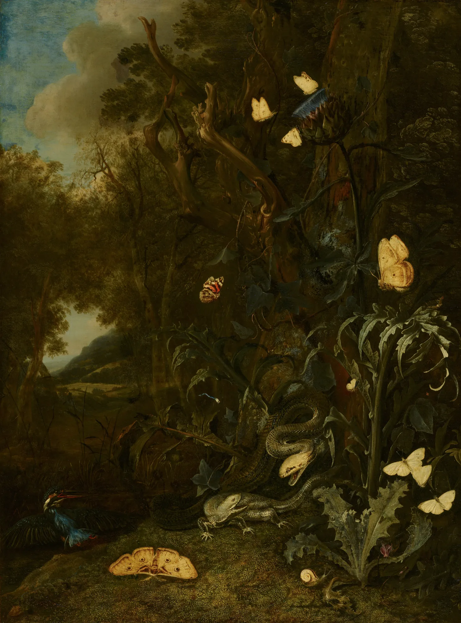 Plants and Insects