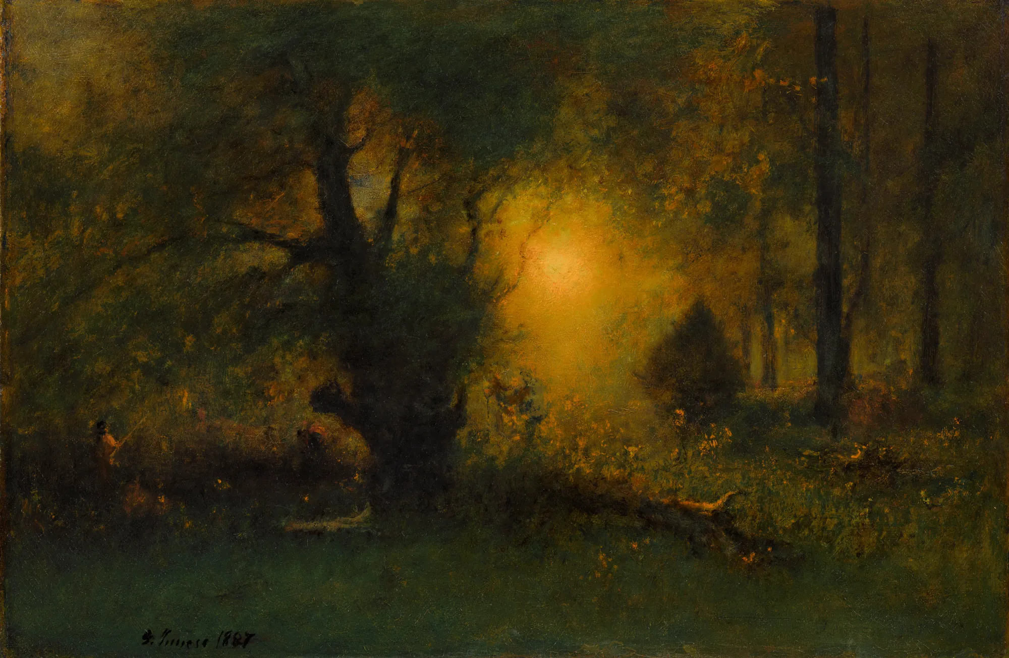 Sunrise in the Woods