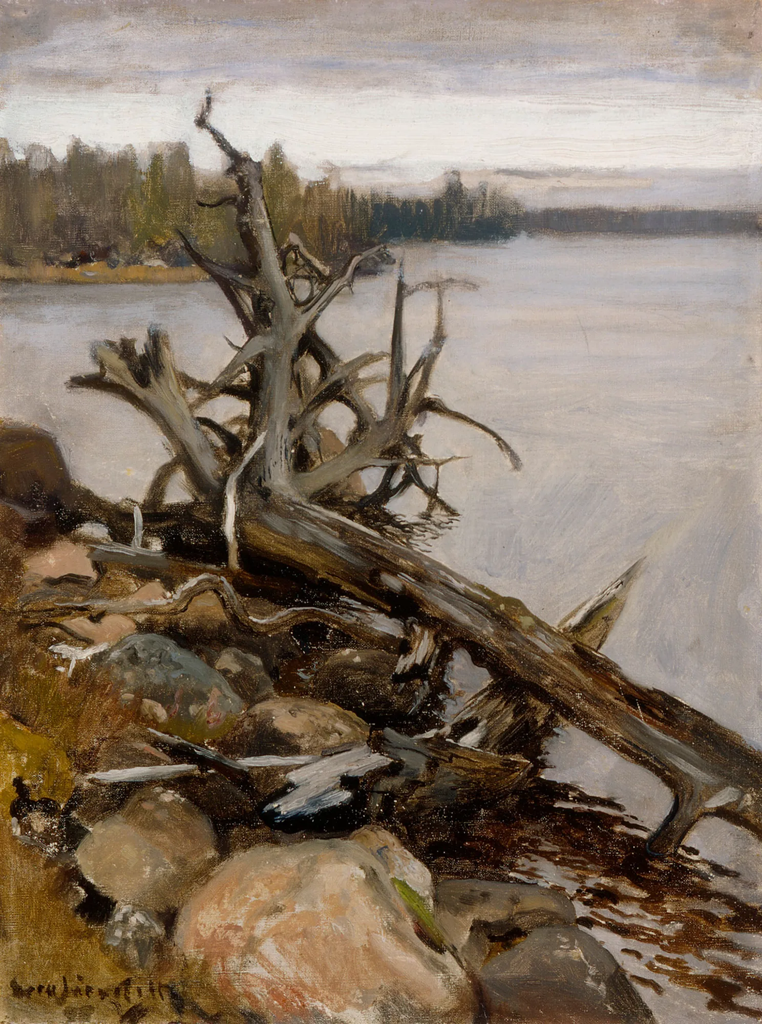 Dead Pine in the Water